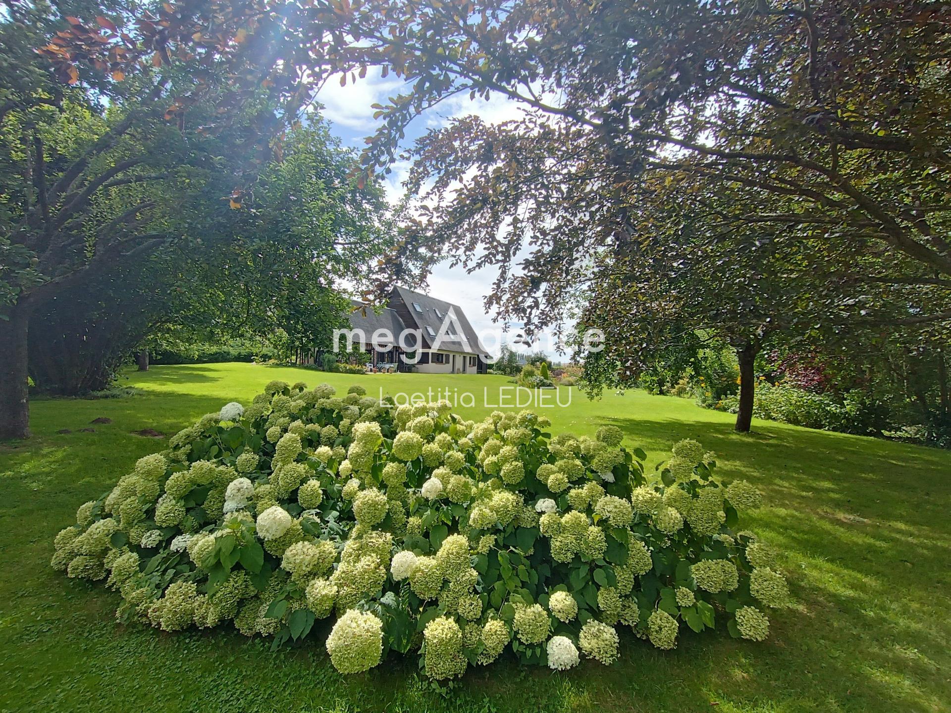 Miniature photo - 3 / 19