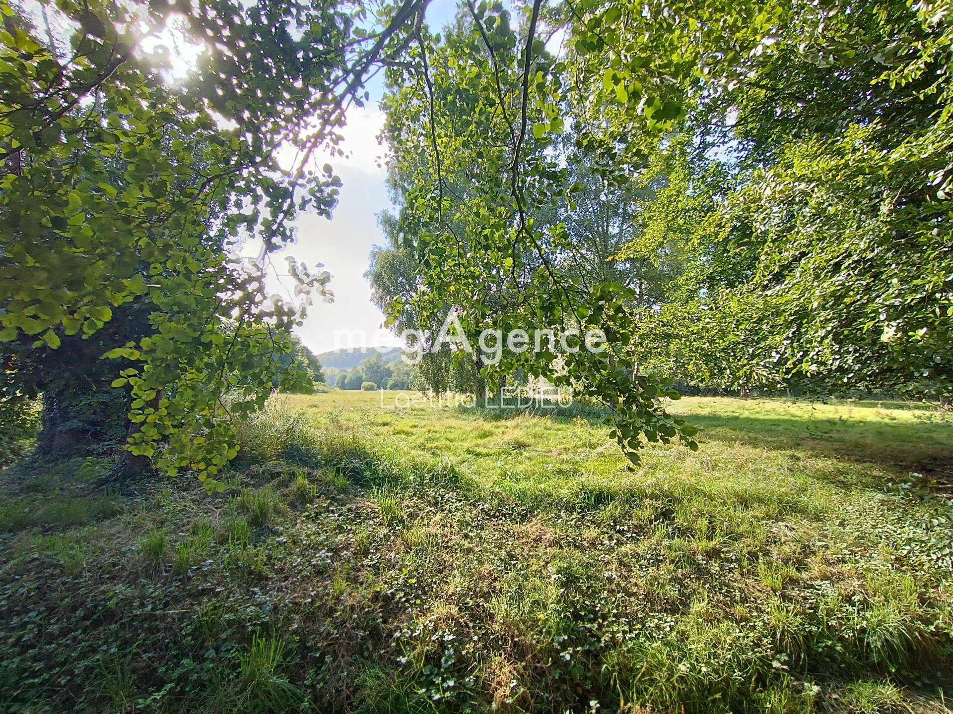 Miniature photo - 19 / 19