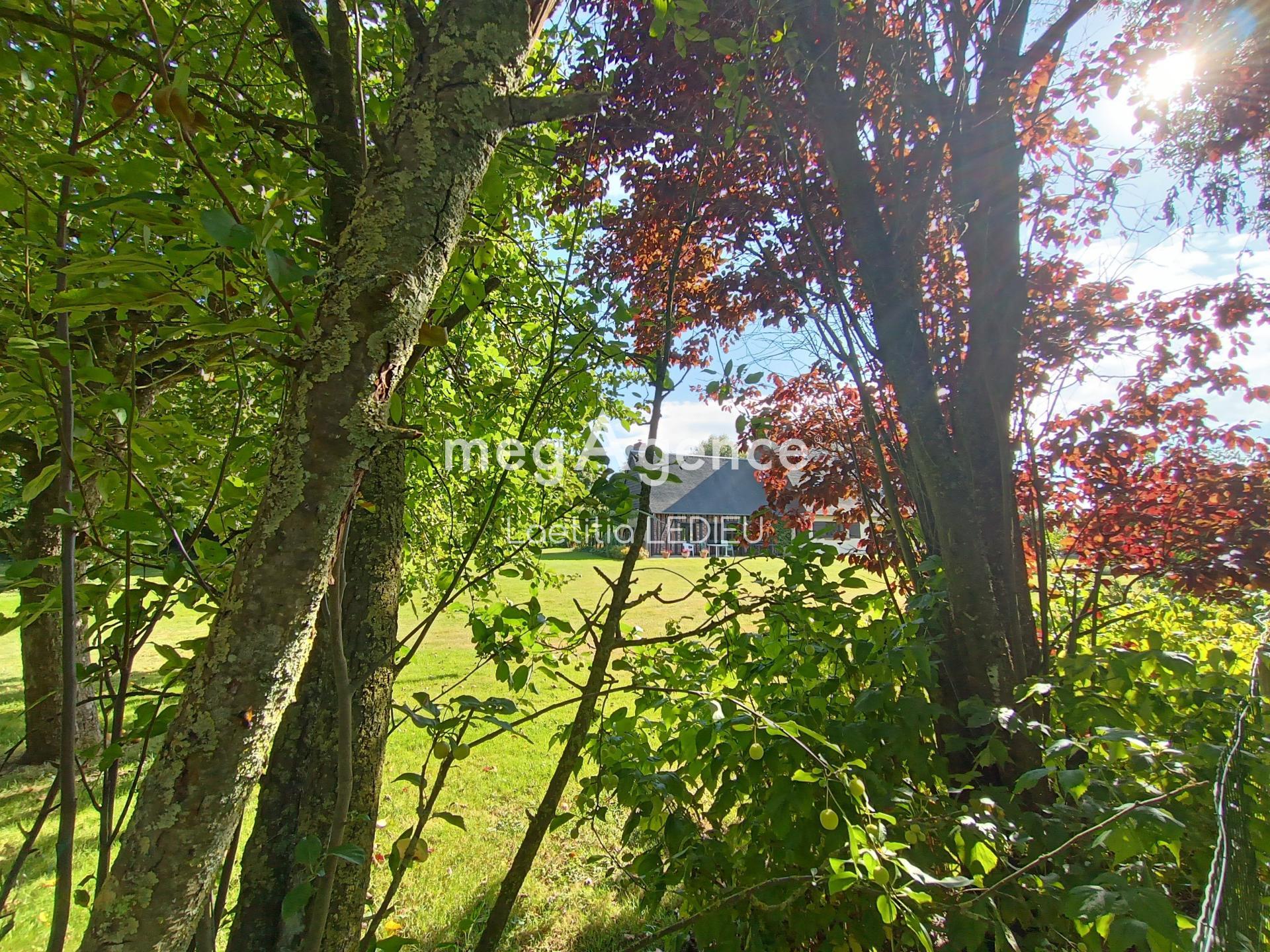 Miniature photo - 18 / 19