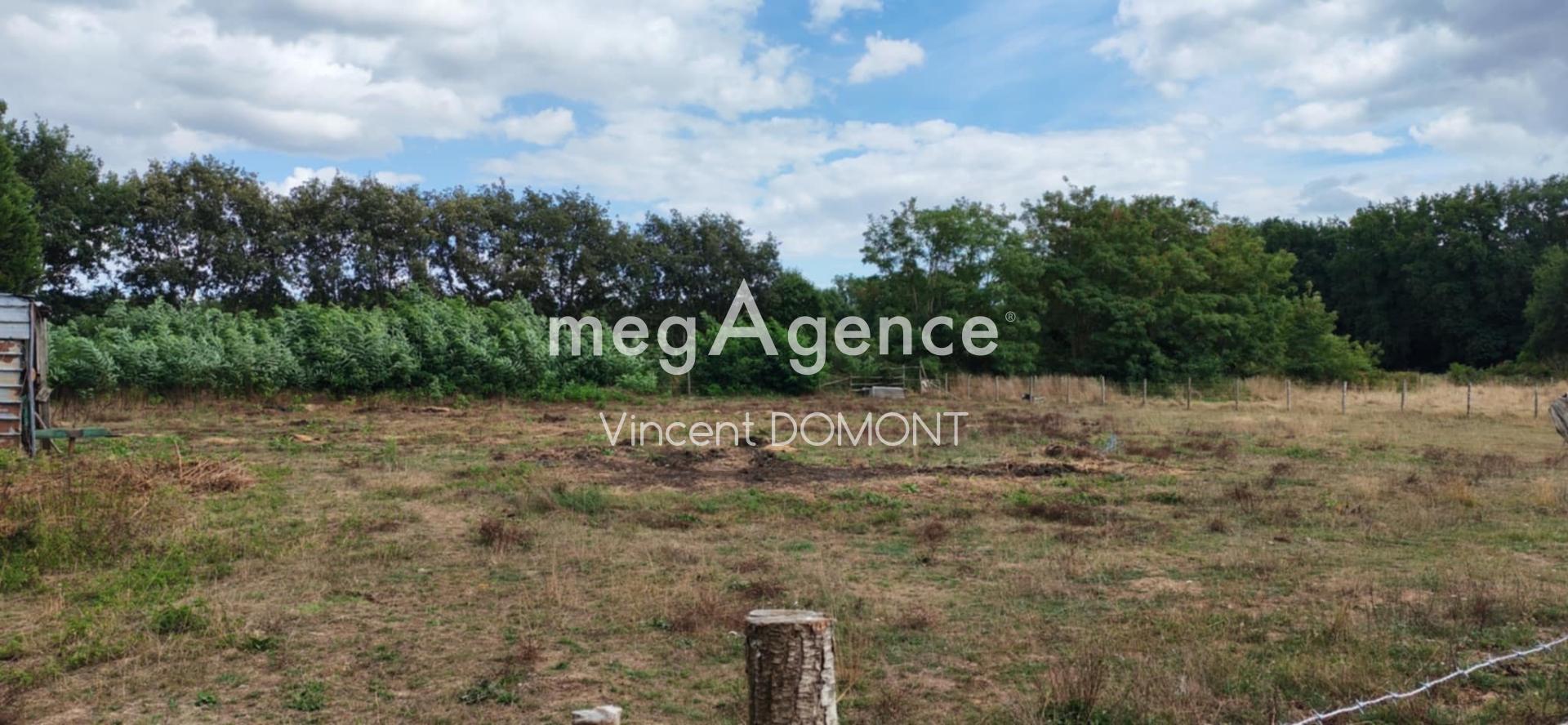 Miniature photo - 2 / 3