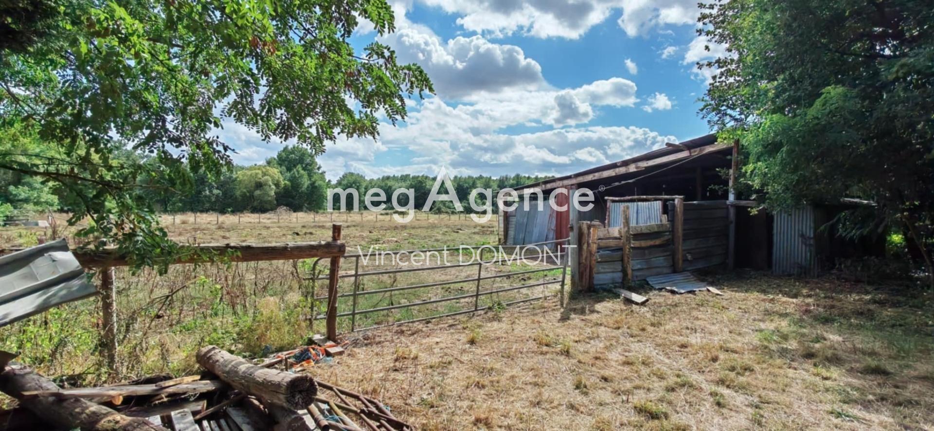 Miniature photo - 3 / 3