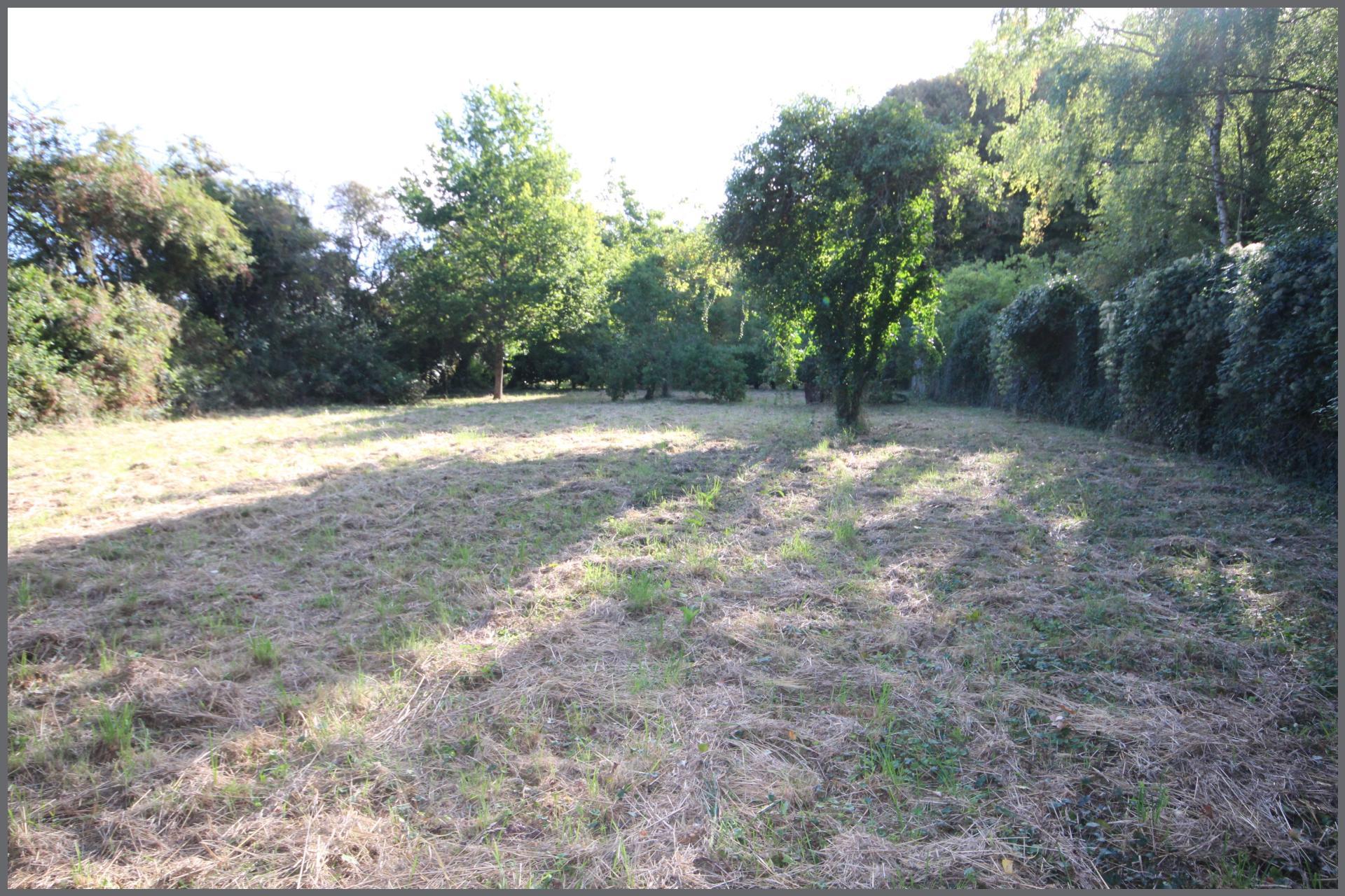 Miniature photo - 16 / 16