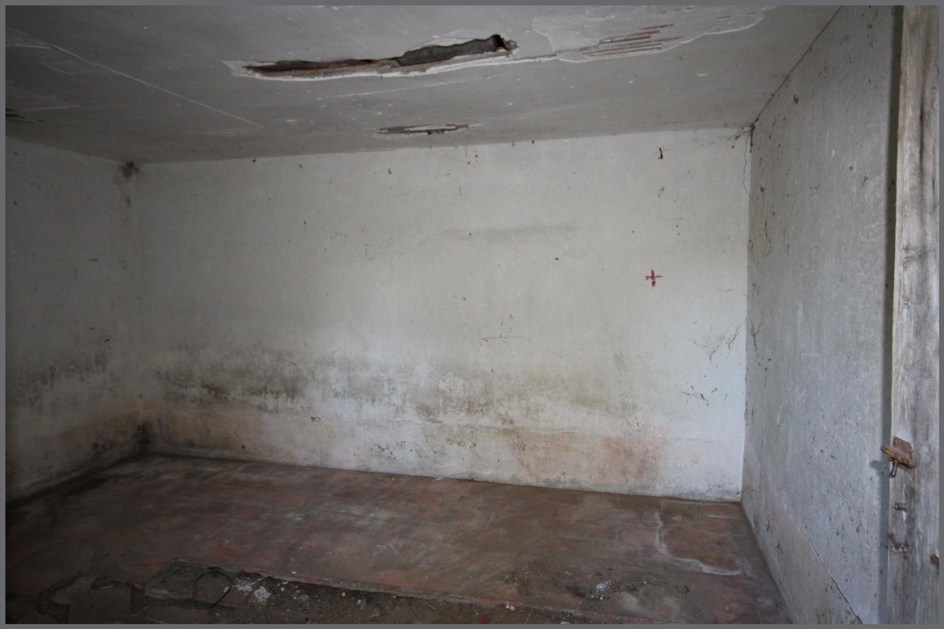 Miniature photo - 13 / 16