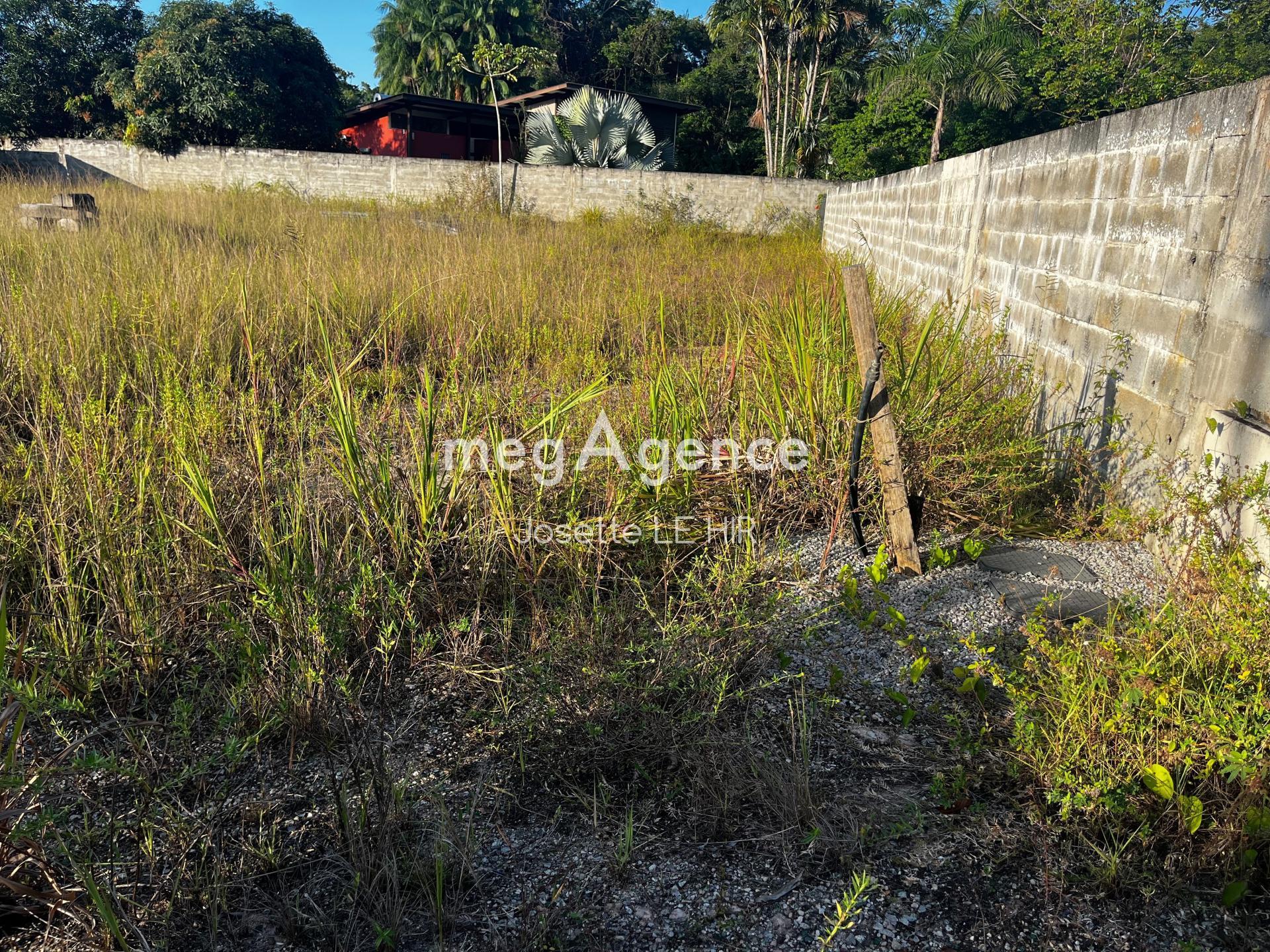 Miniature photo - 5 / 5