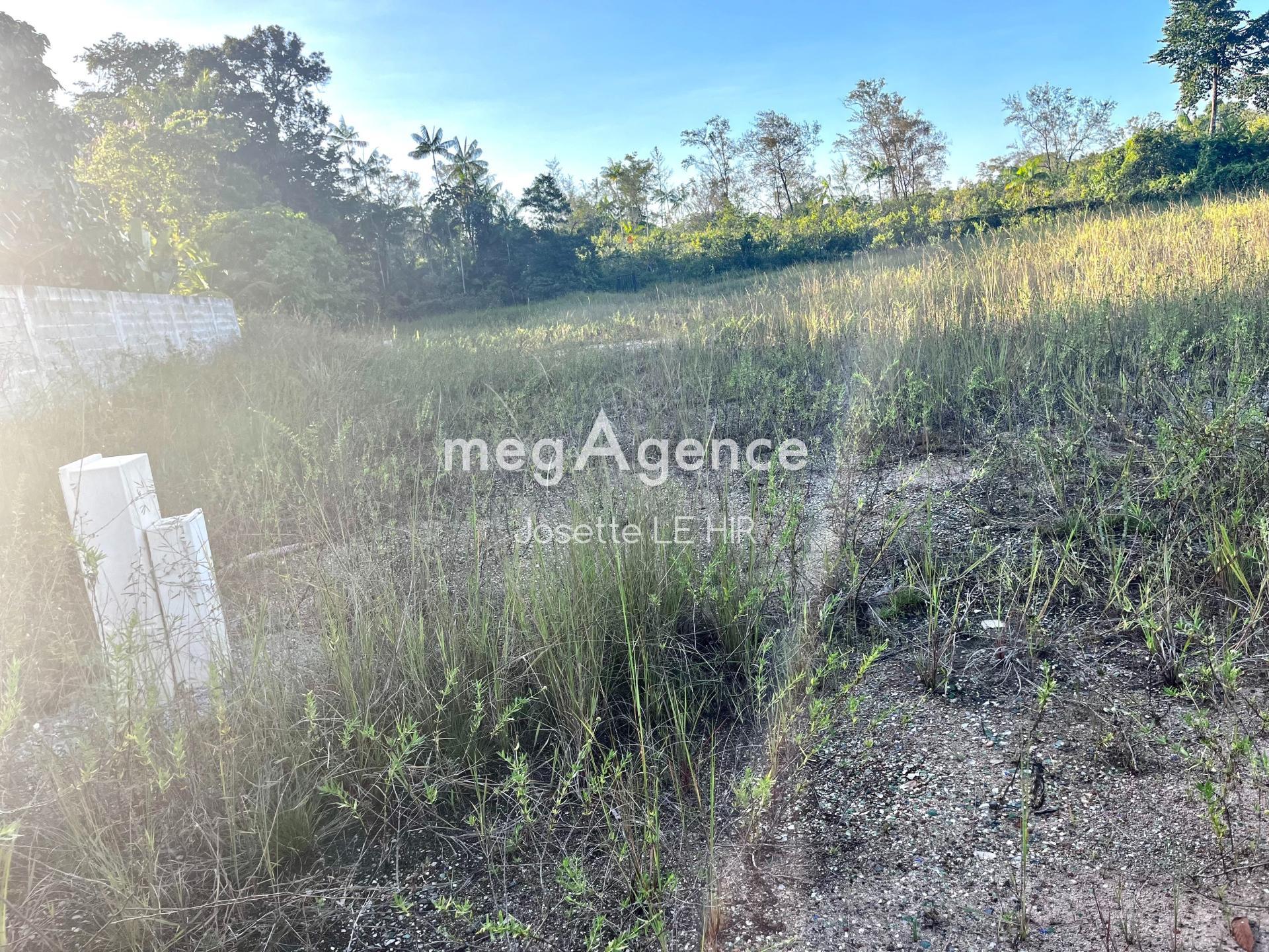 Miniature photo - 3 / 5