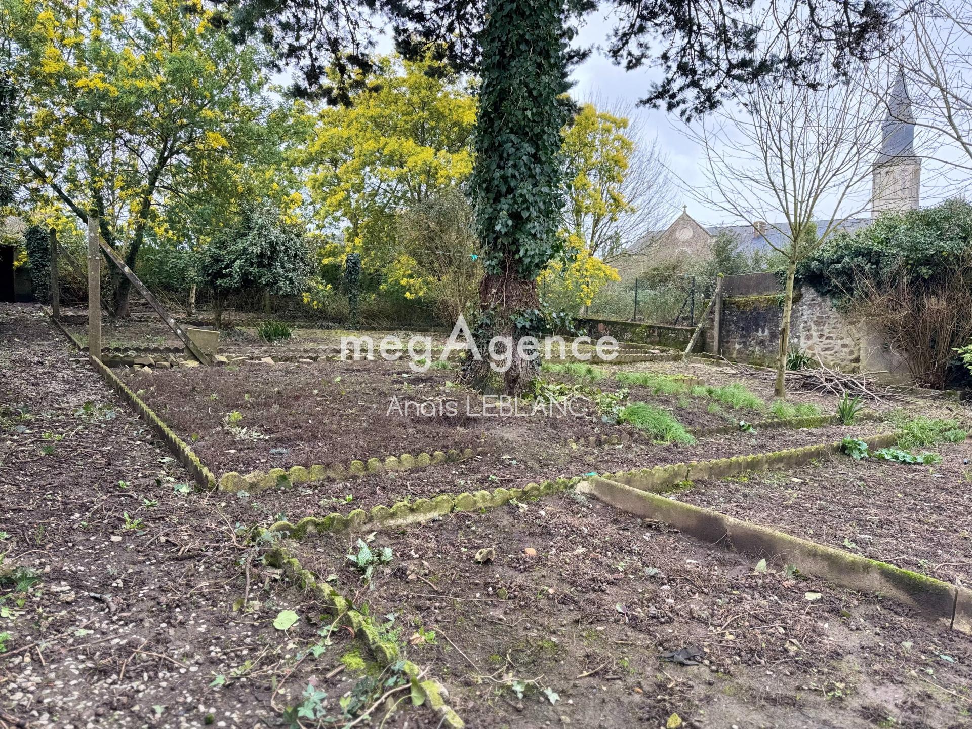 Miniature photo - 6 / 6