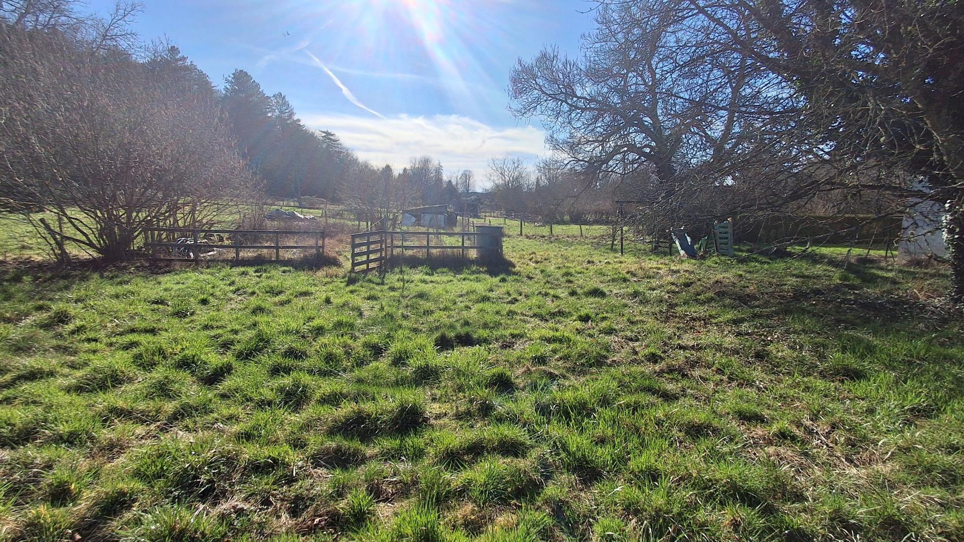 Miniature photo - 2 / 2