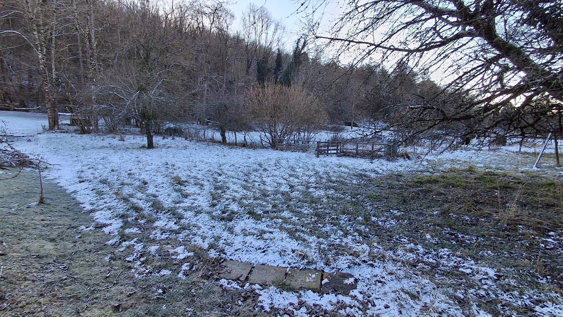 Miniature photo - 2 / 3