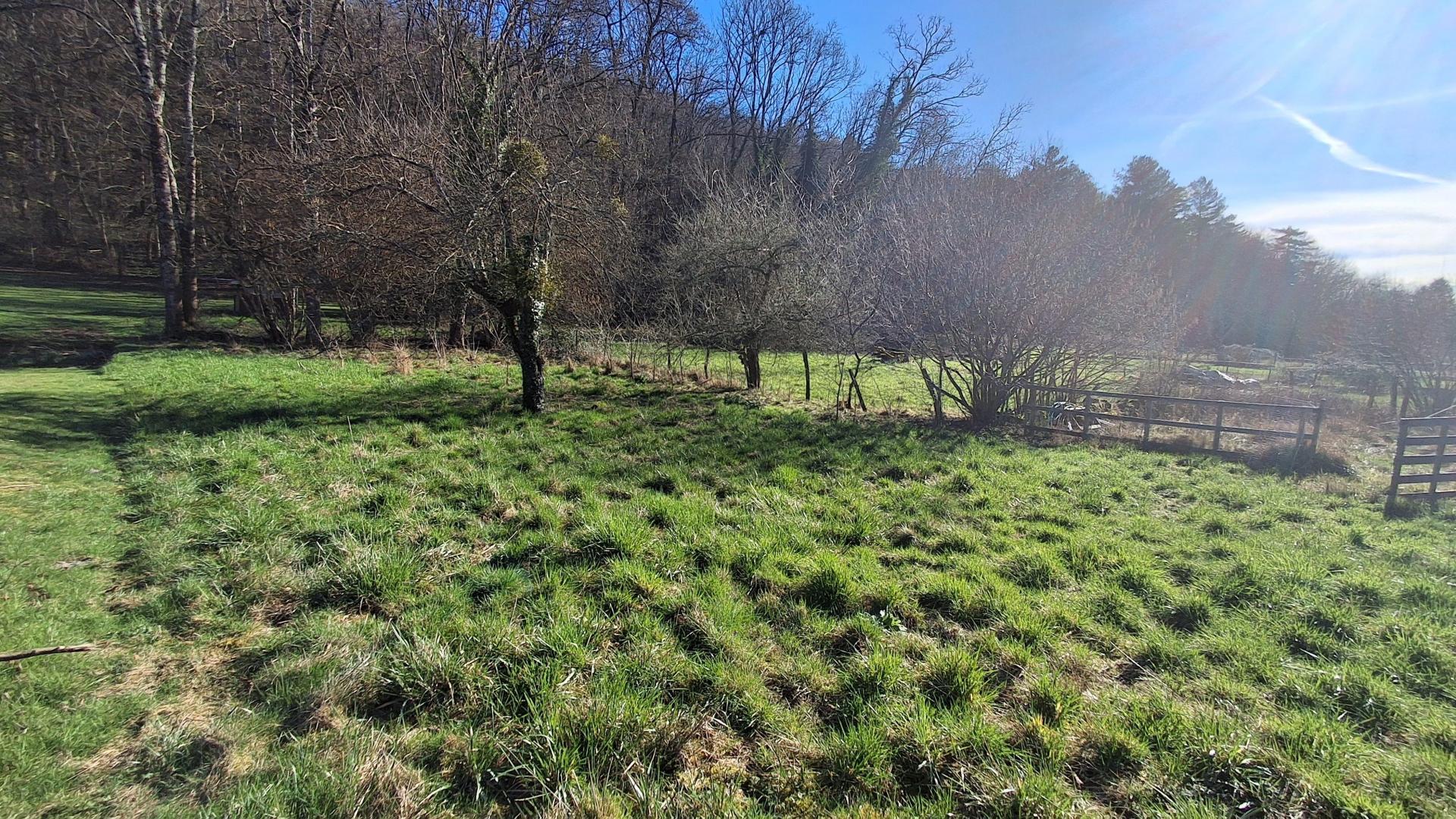 Photographie descriptive du bien