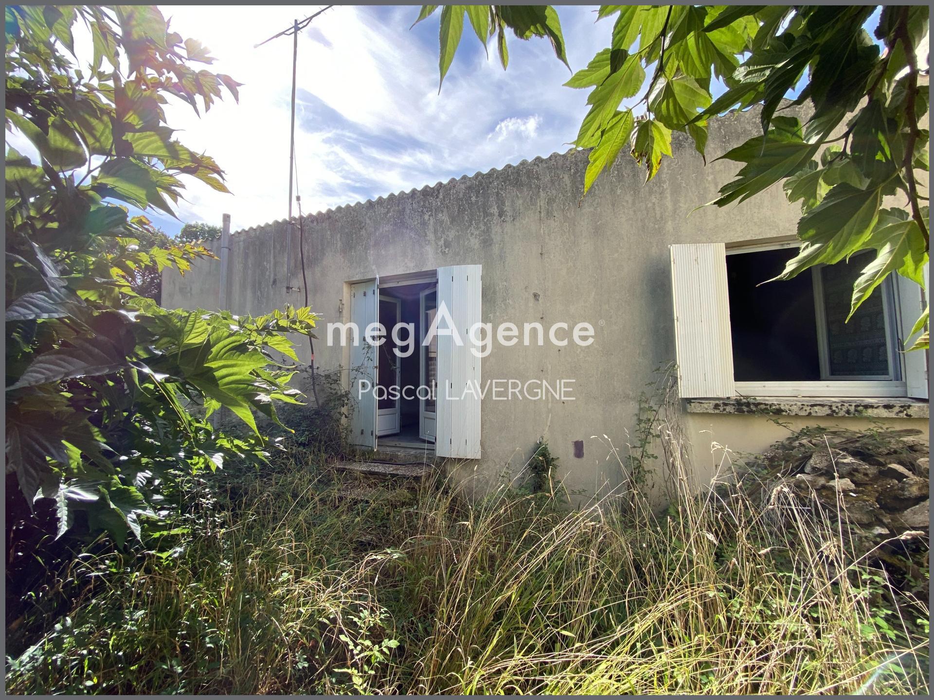 Miniature photo - 5 / 5