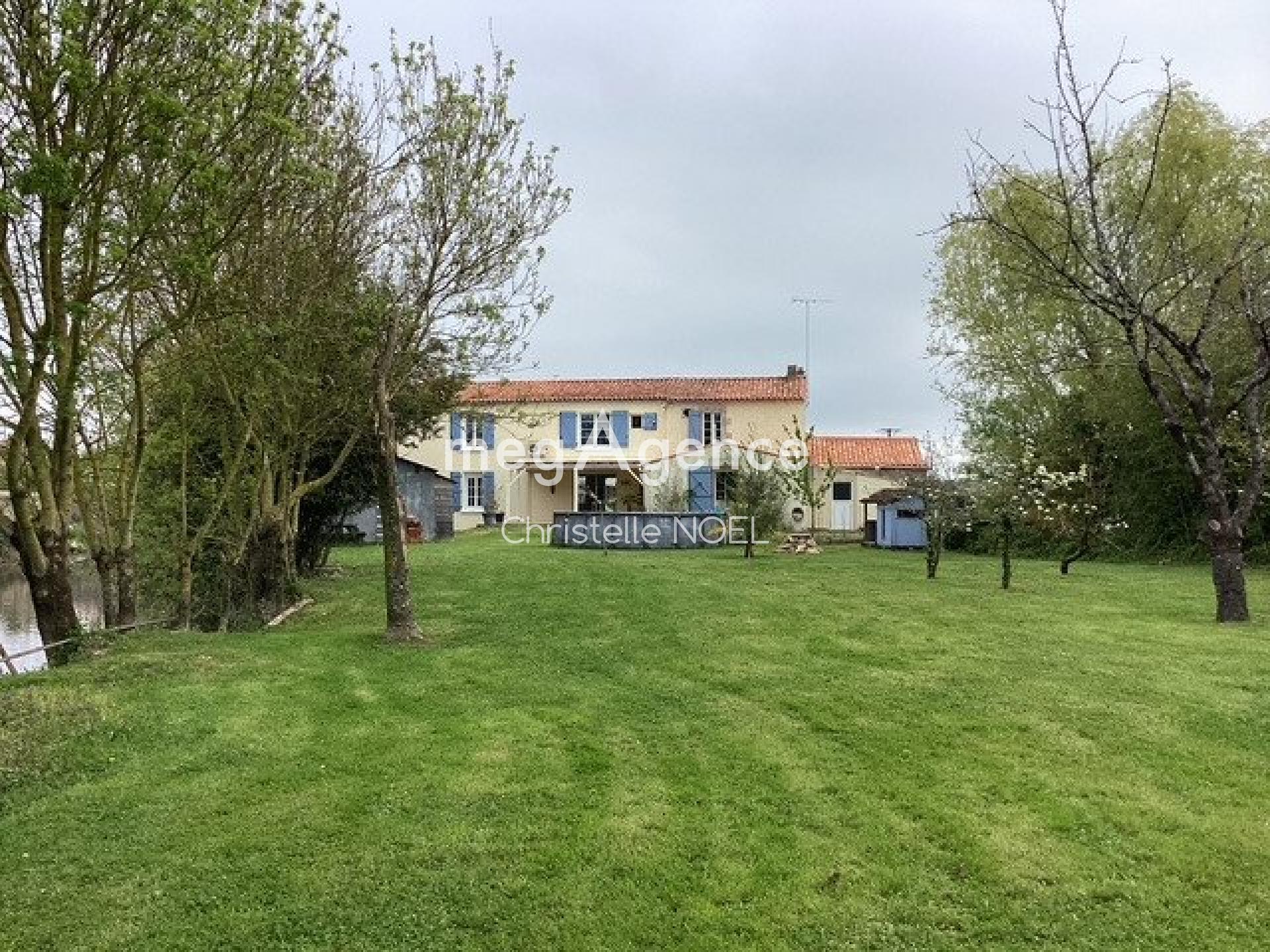 Miniature photo - 4 / 14