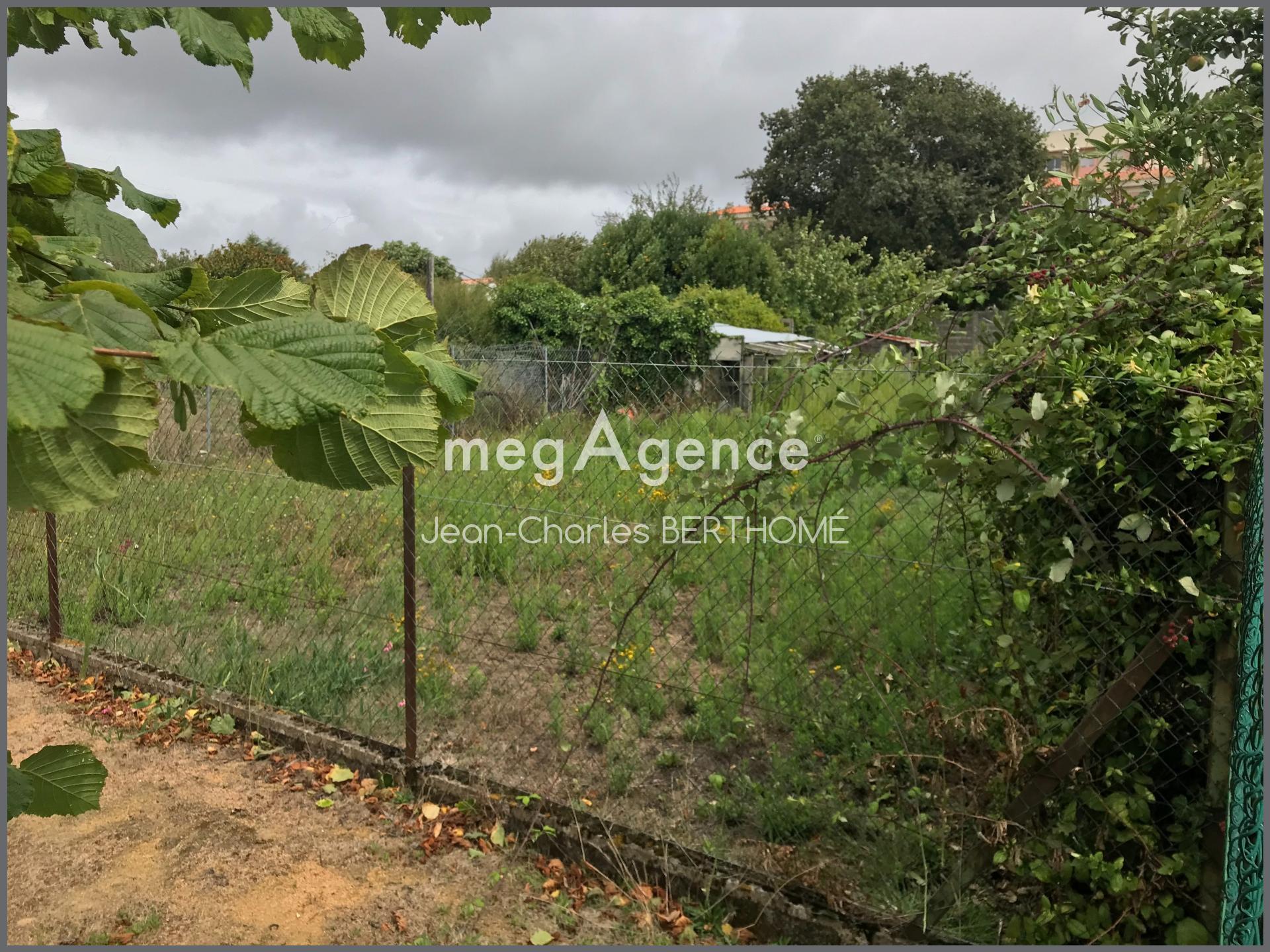 Miniature photo - 2 / 3