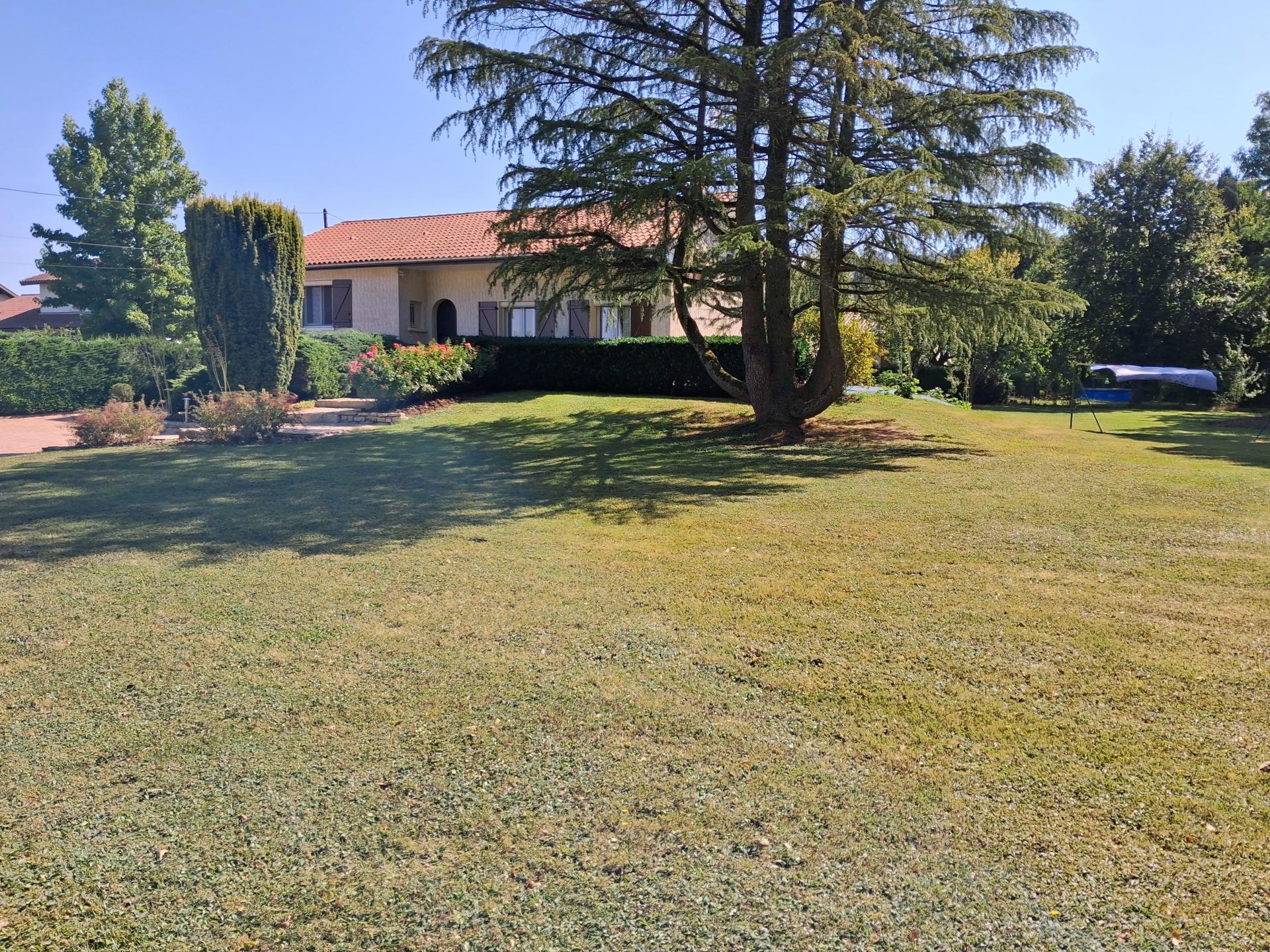 Miniature photo - 8 / 8