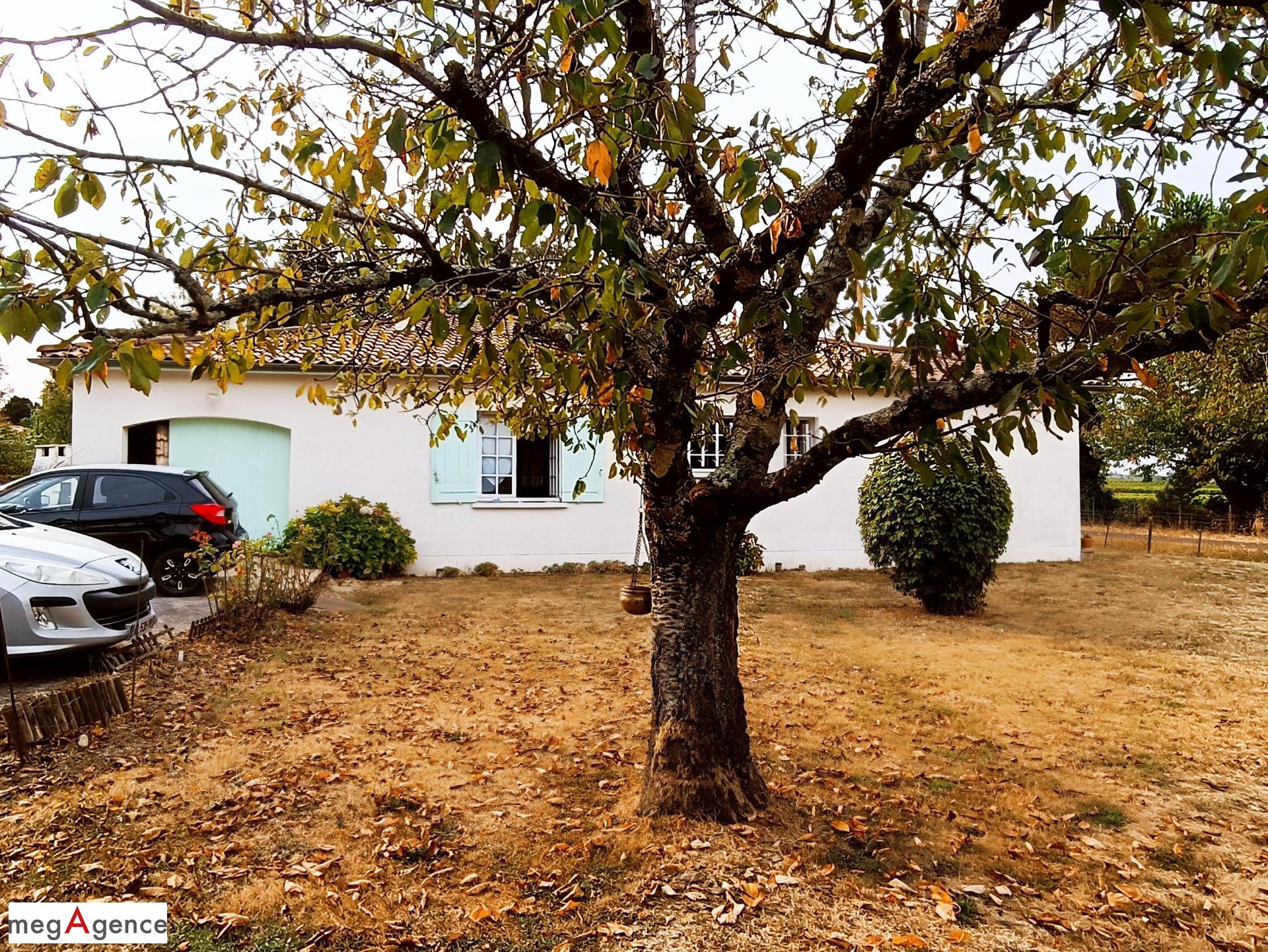 Miniature photo - 5 / 10