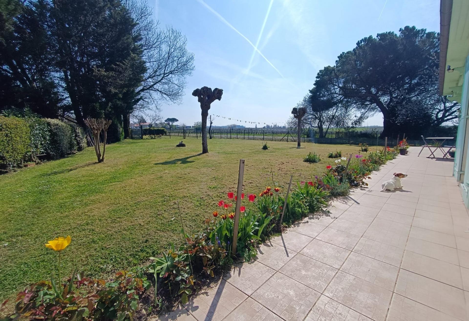 Miniature photo - 12 / 13