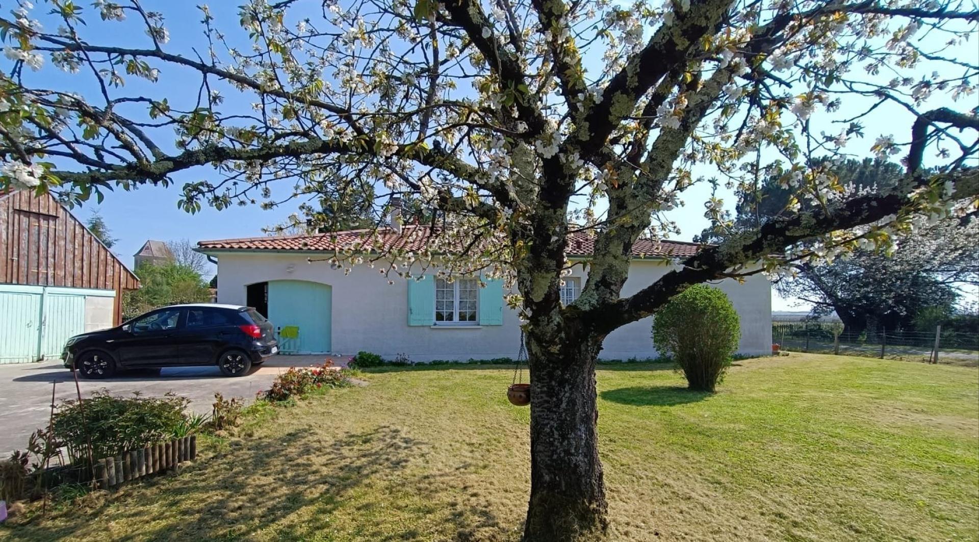 Miniature photo - 4 / 13