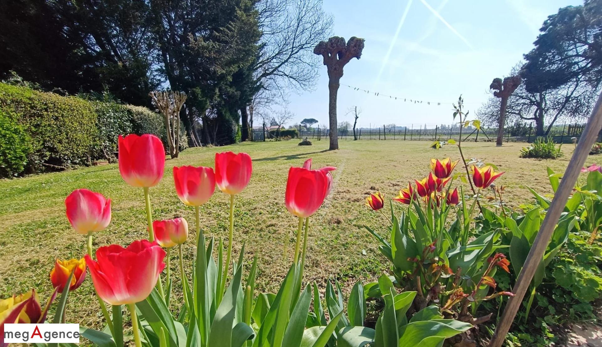 Miniature photo - 3 / 13