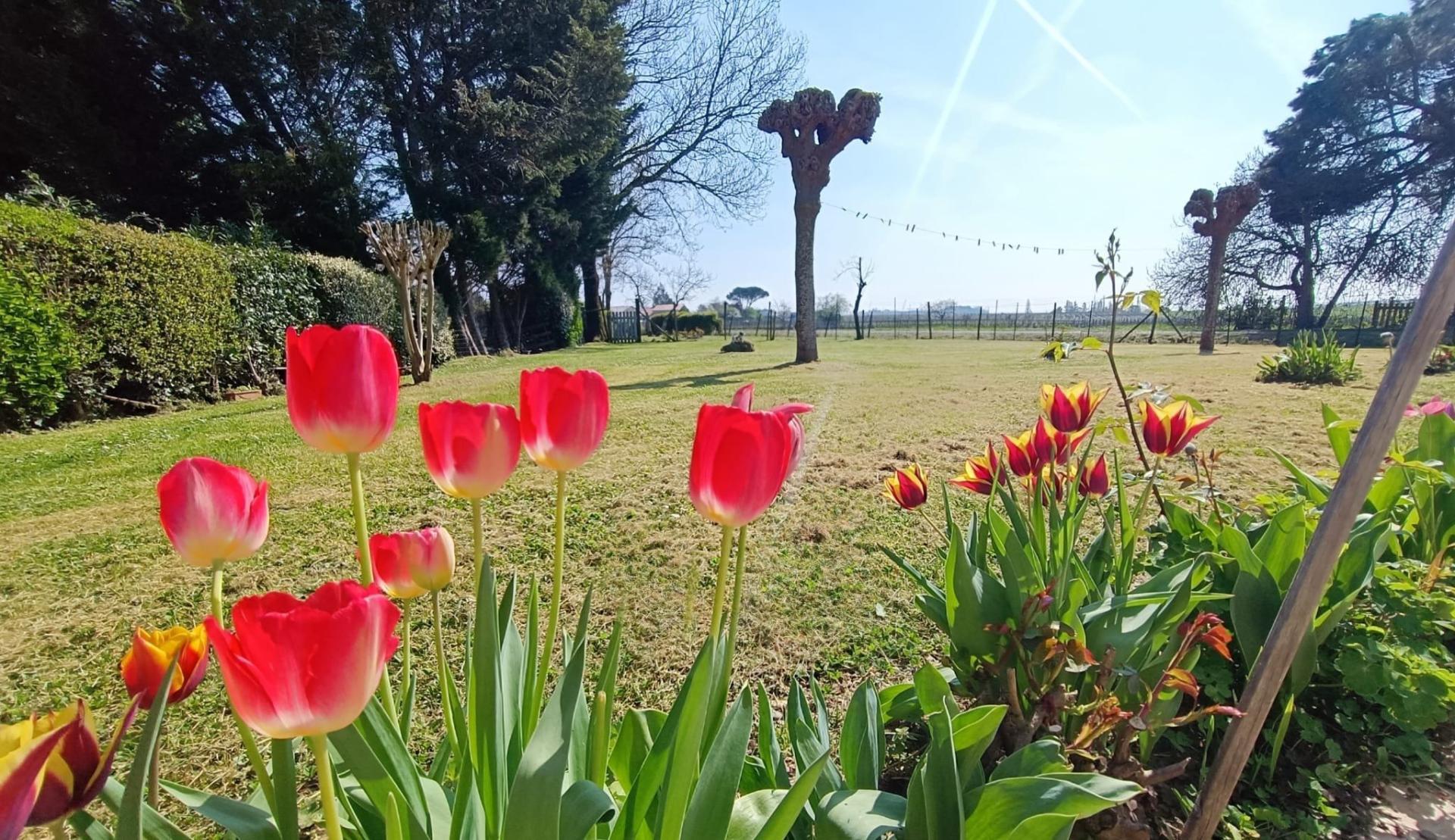 Miniature photo - 6 / 13