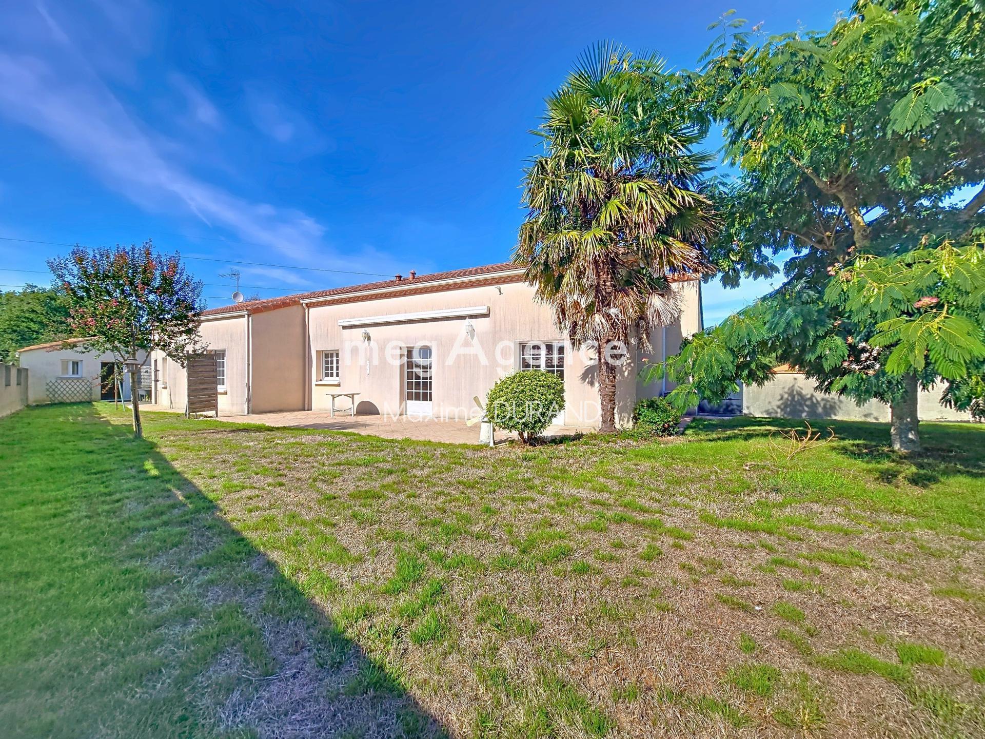 Miniature photo - 2 / 15