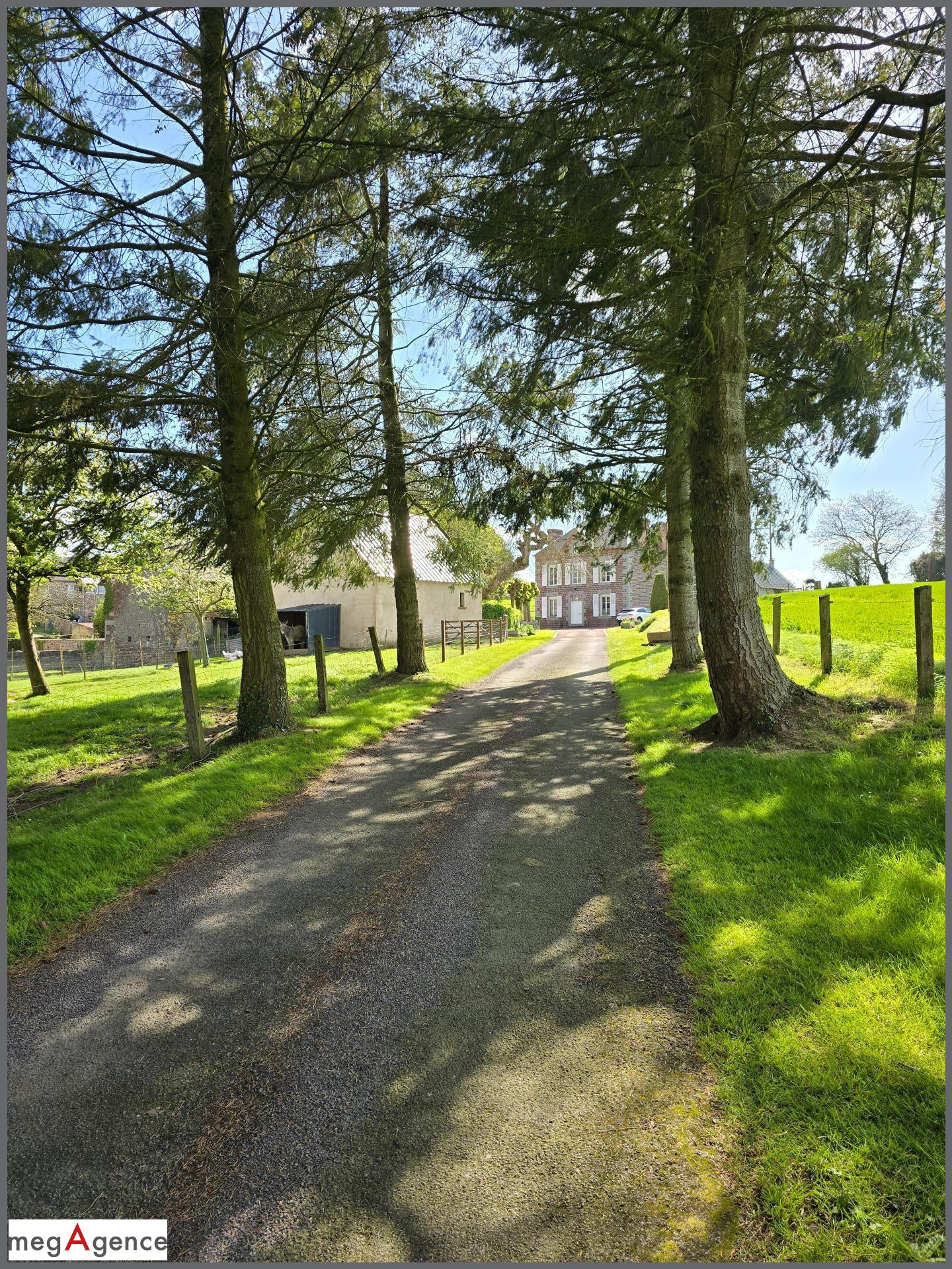 Miniature photo - 13 / 16