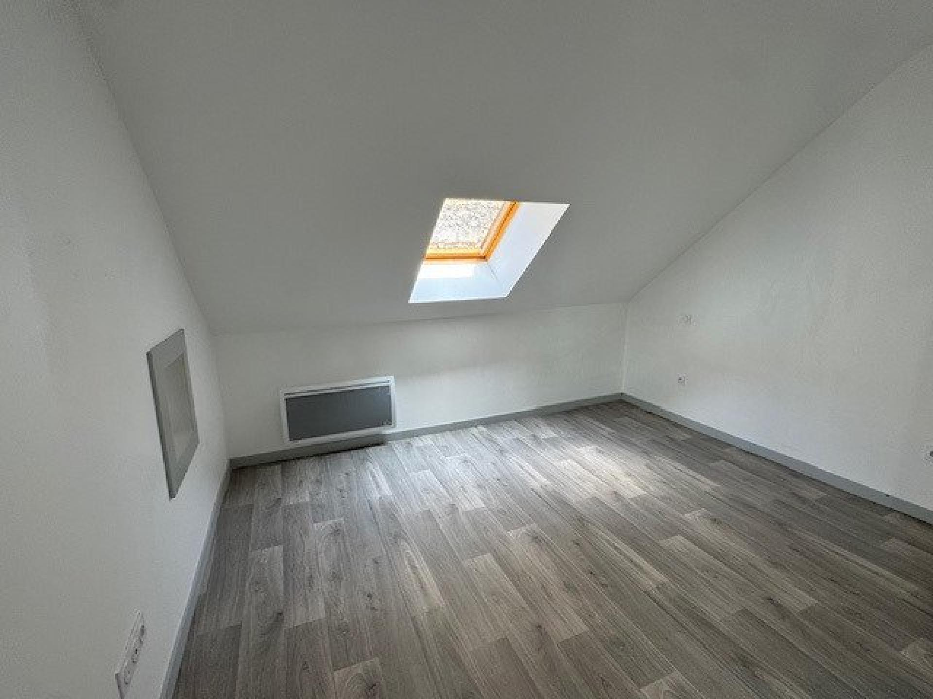 Miniature photo - 4 / 12