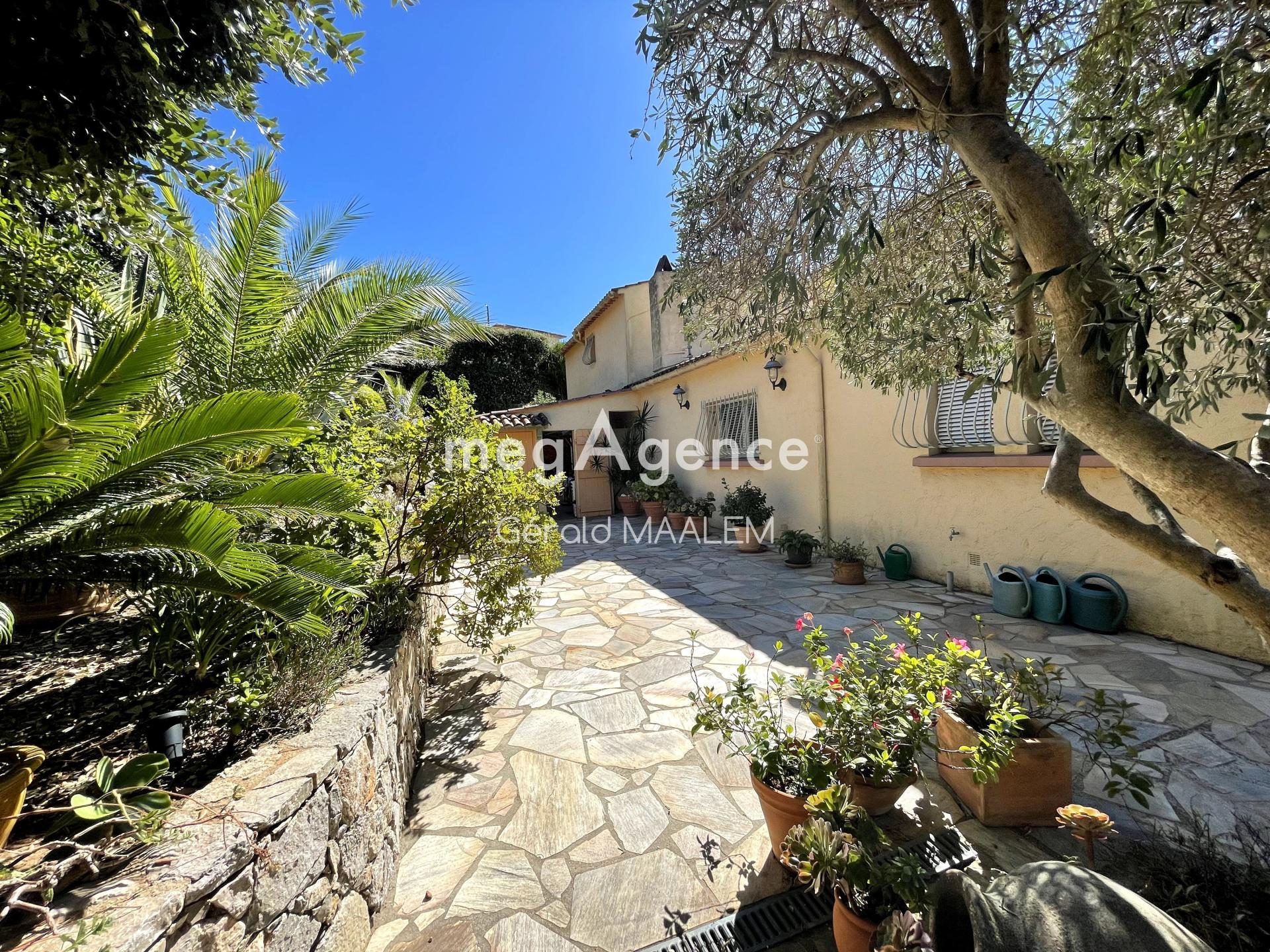 Miniature photo - 2 / 19