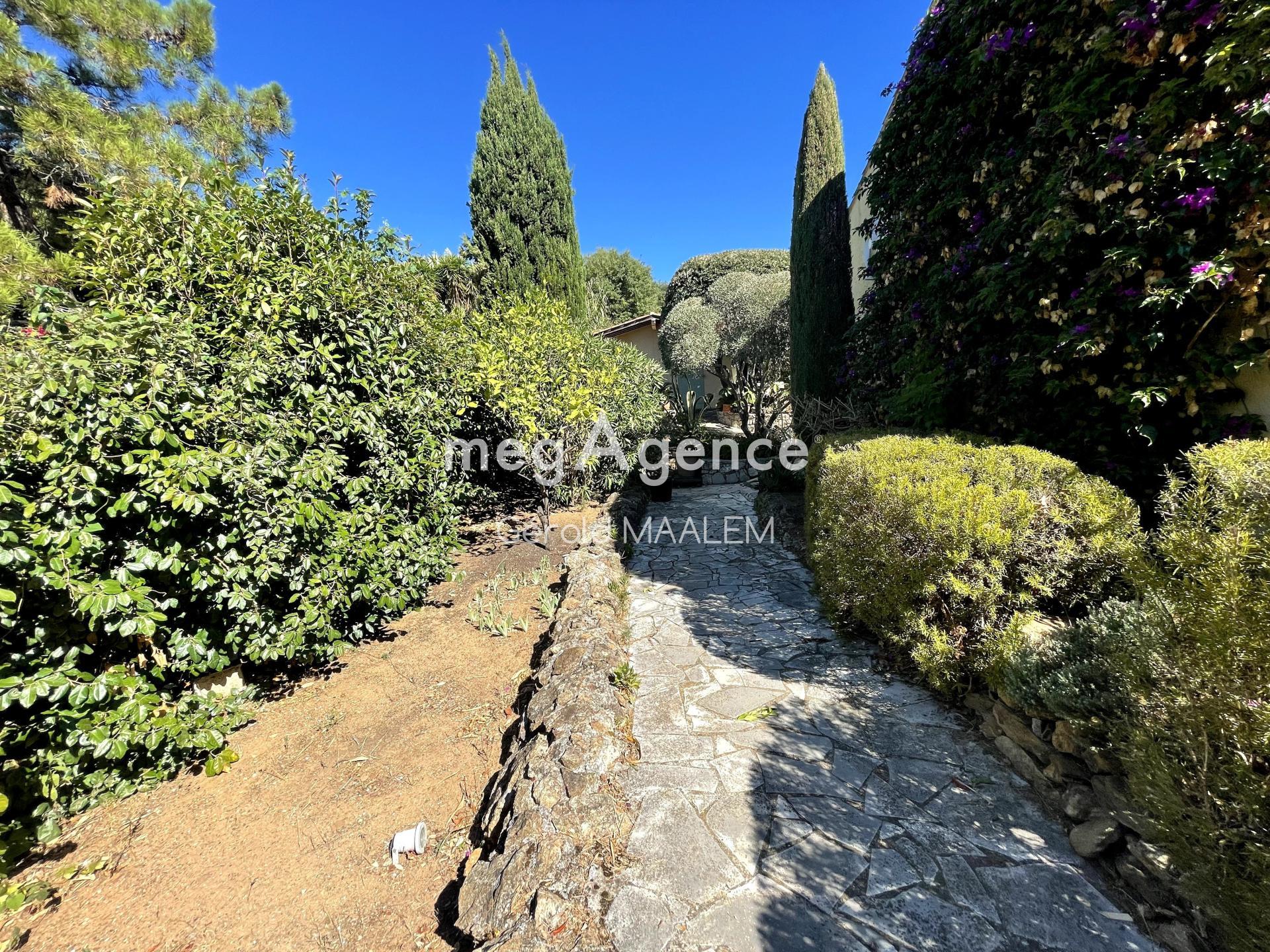 Miniature photo - 19 / 19