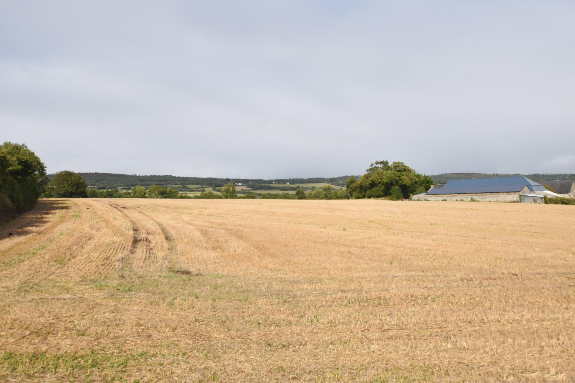 Miniature photo - 9 / 9