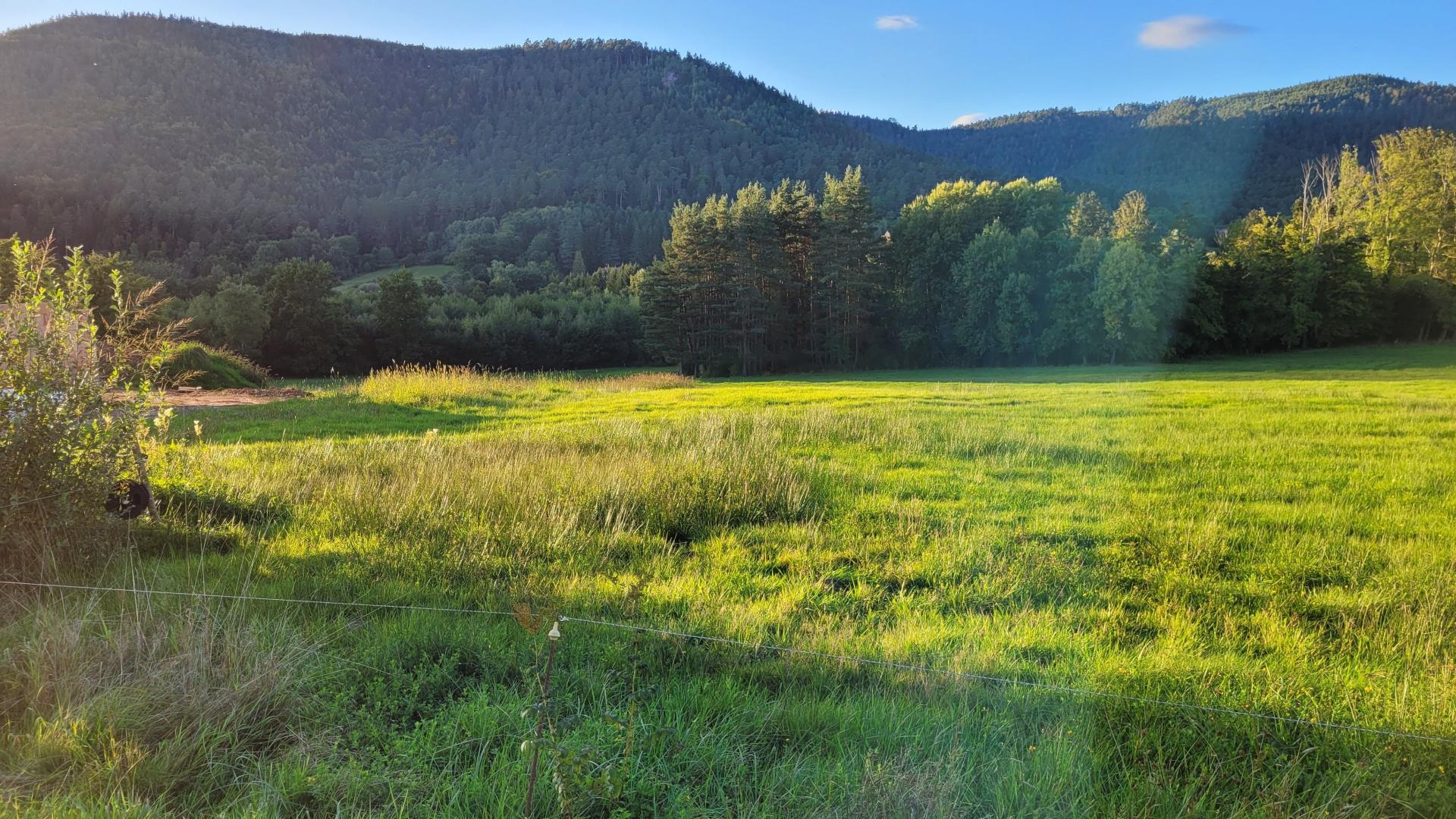 Photographie descriptive du bien