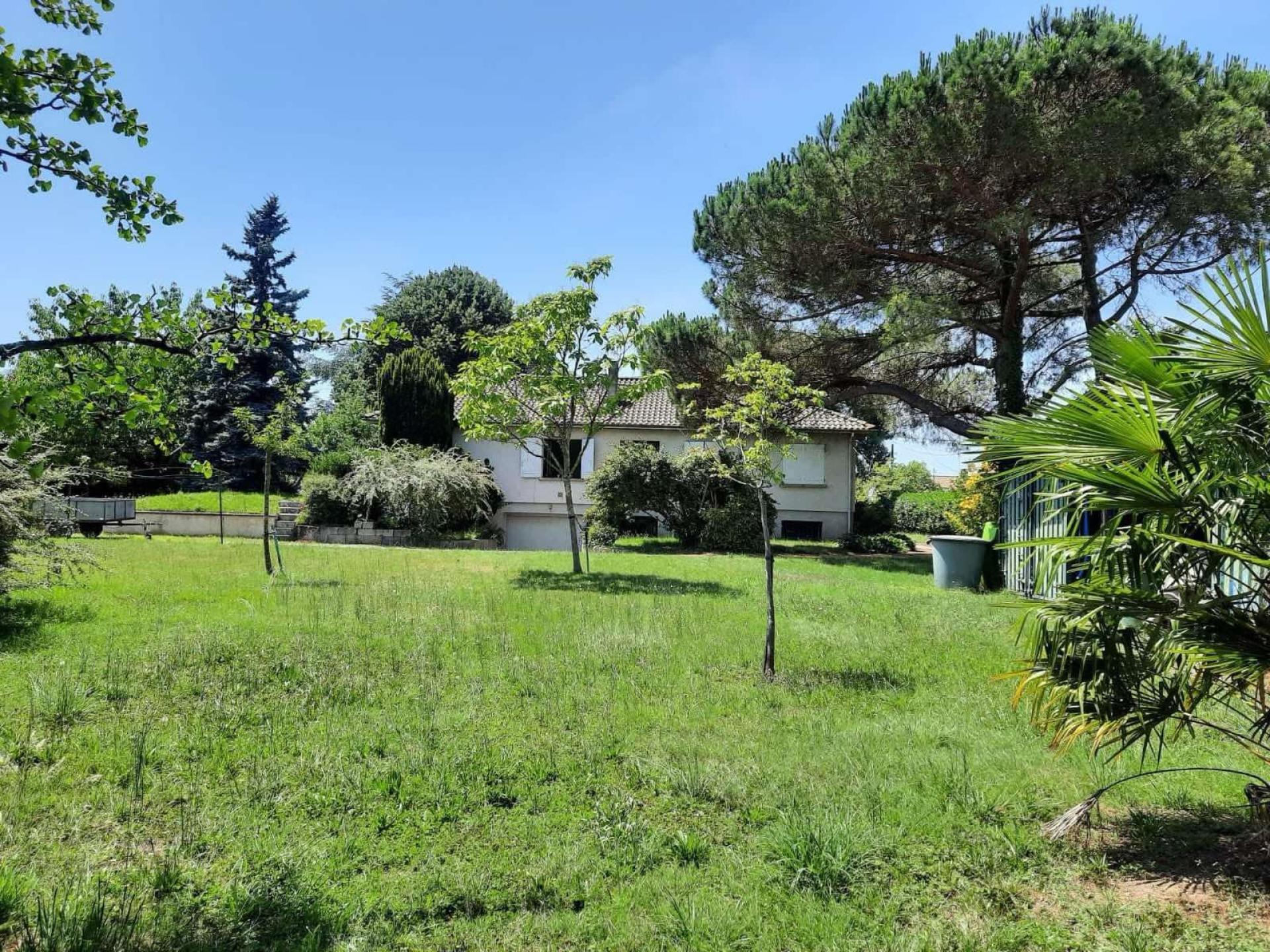 Miniature photo - 11 / 11