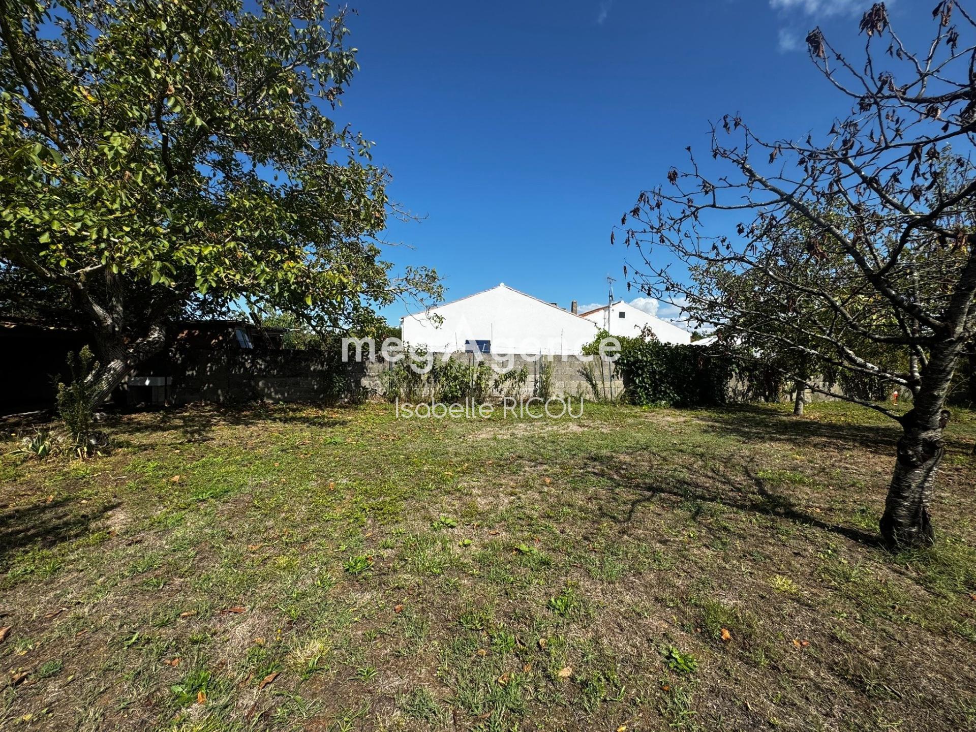 Miniature photo - 4 / 5