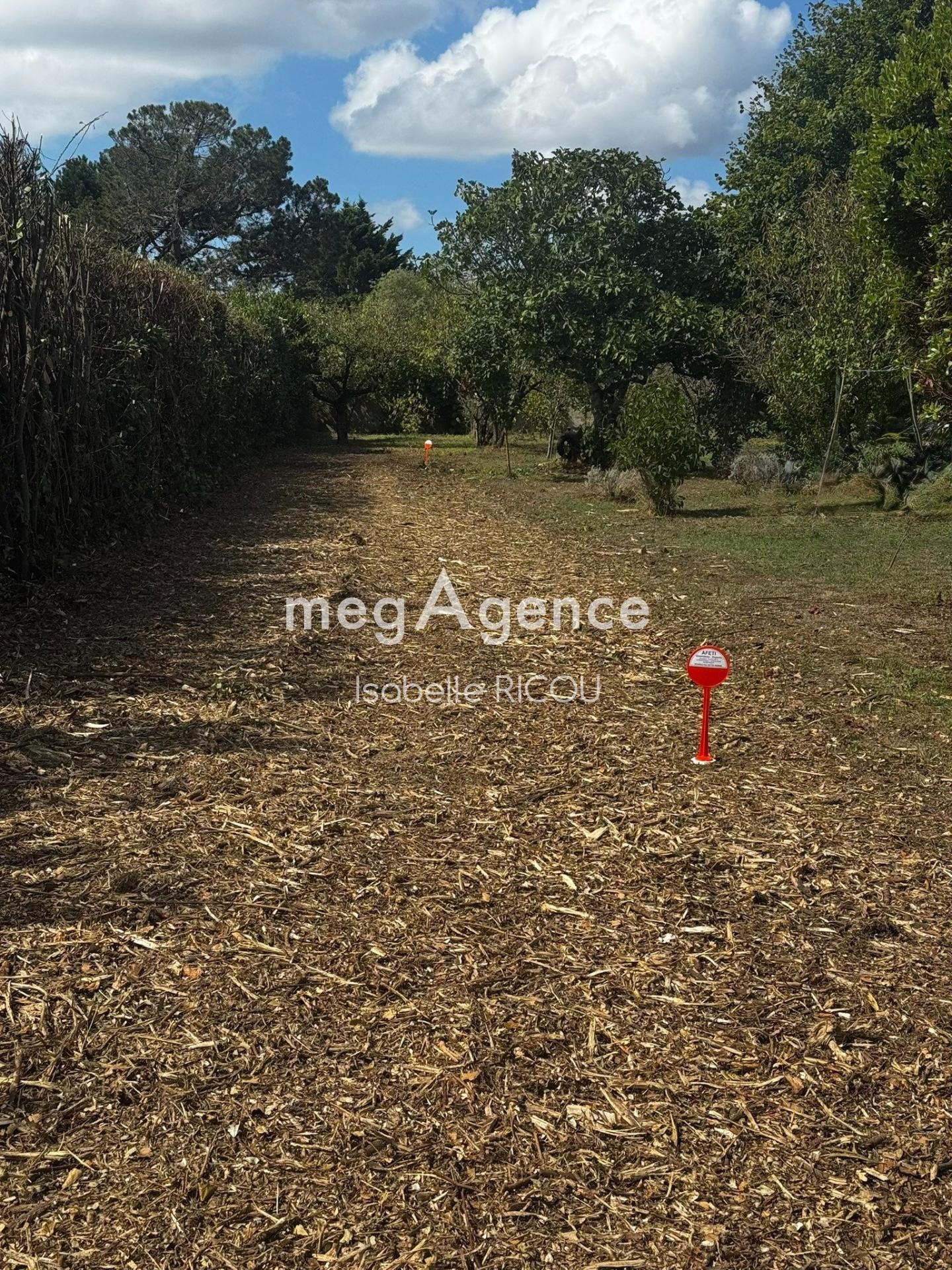 Miniature photo - 5 / 5