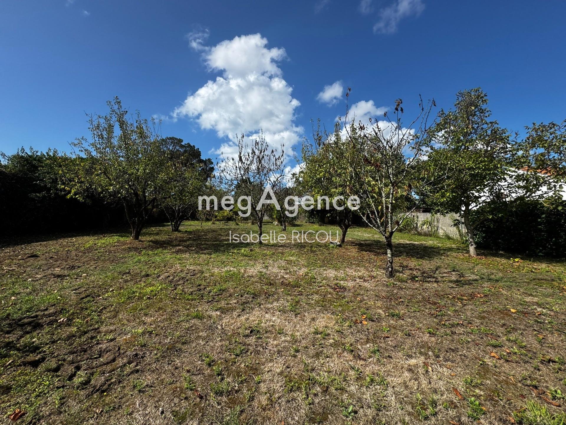 Photographie descriptive du bien