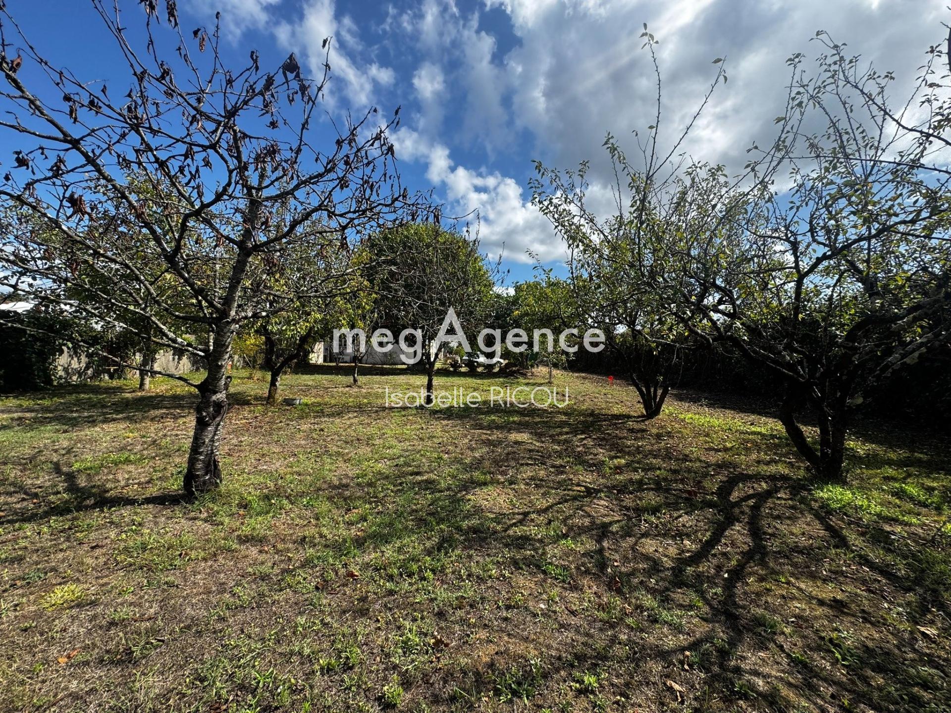 Miniature photo - 2 / 5