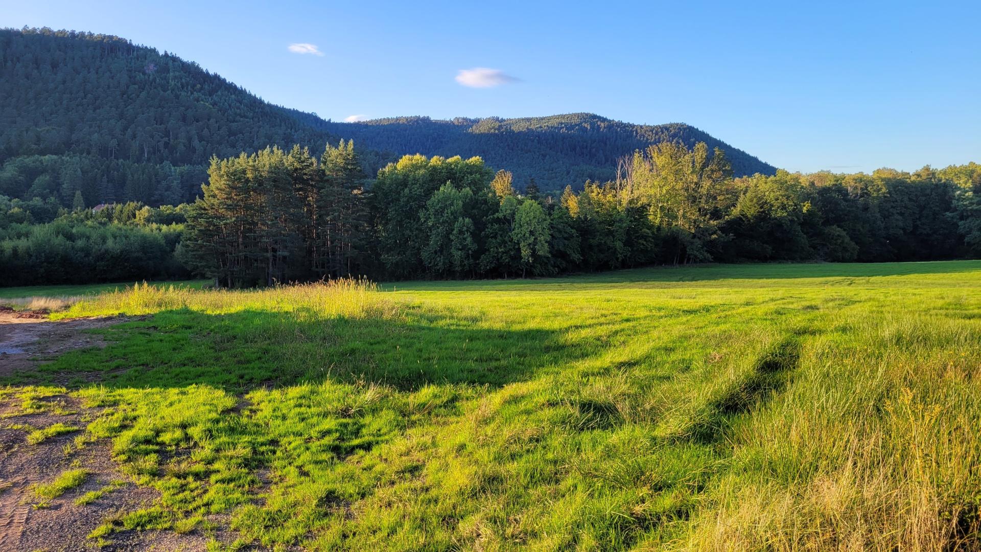 Miniature photo - 3 / 3