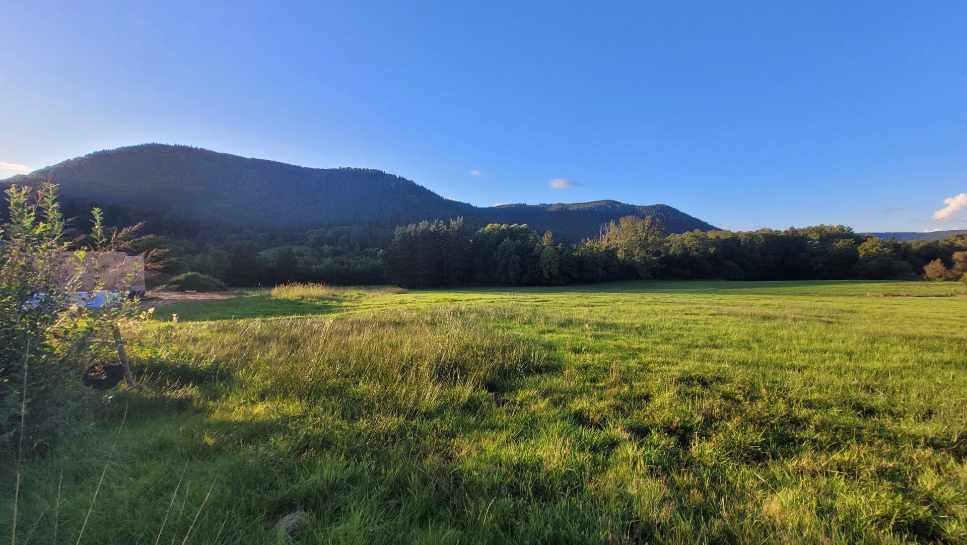 Miniature photo - 2 / 3