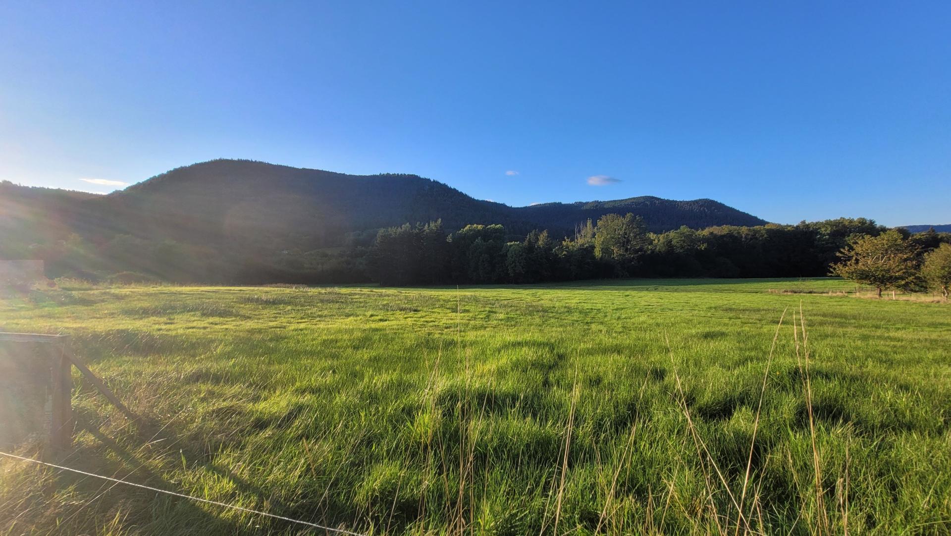 Photographie descriptive du bien