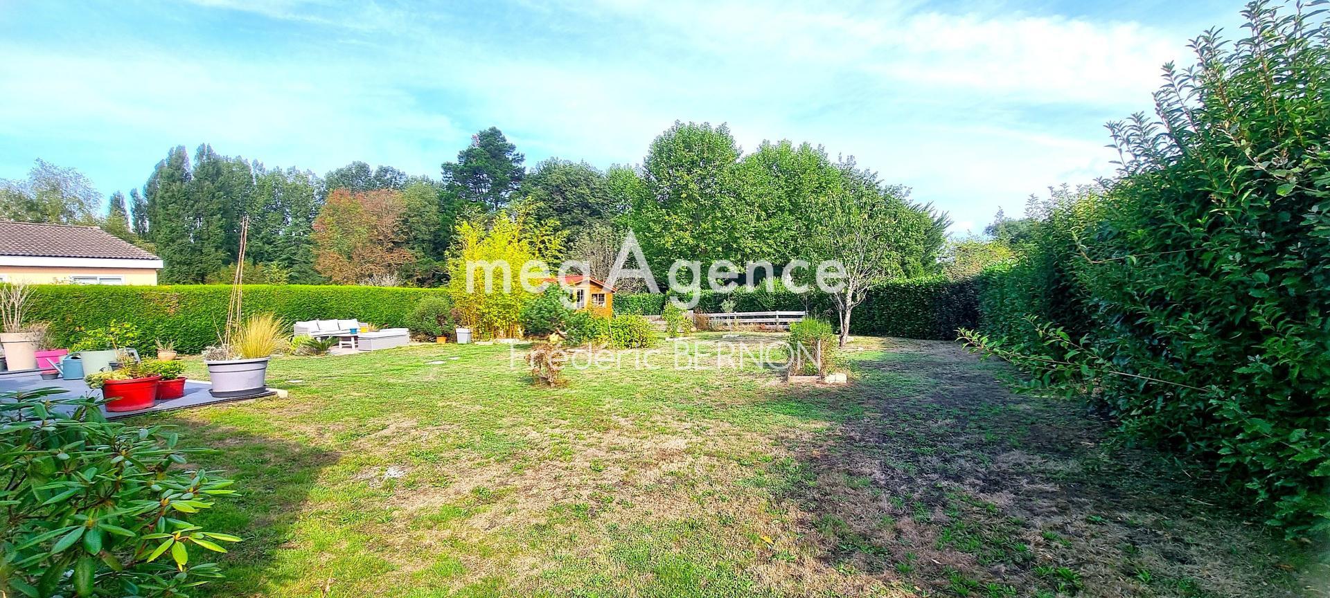 Miniature photo - 6 / 6