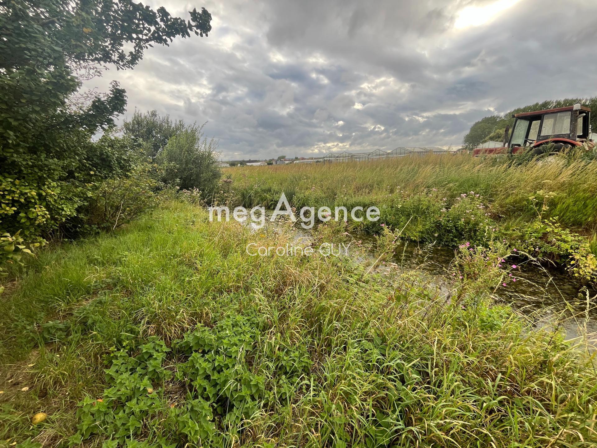 Miniature photo - 4 / 6