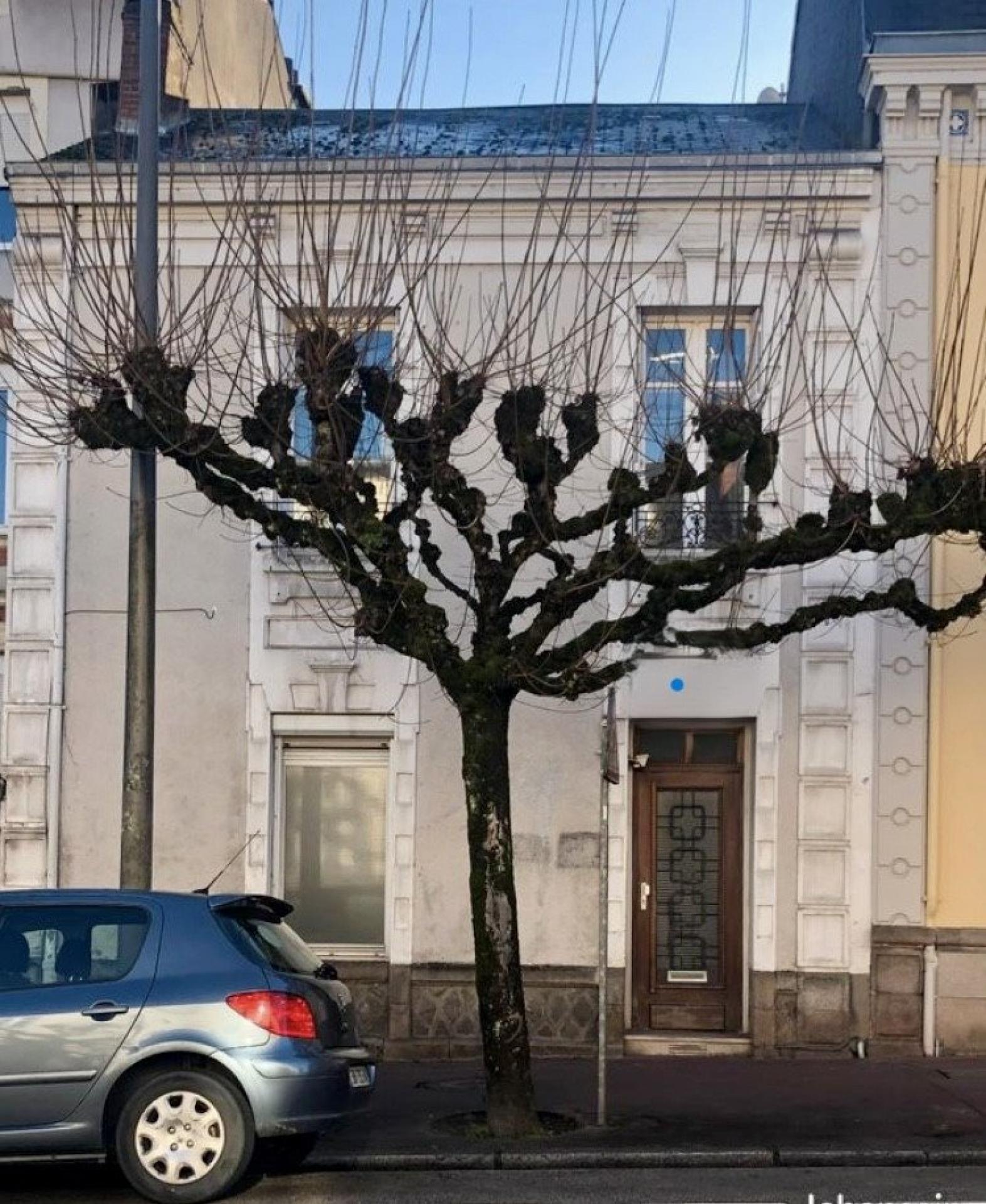 Photographie descriptive du bien