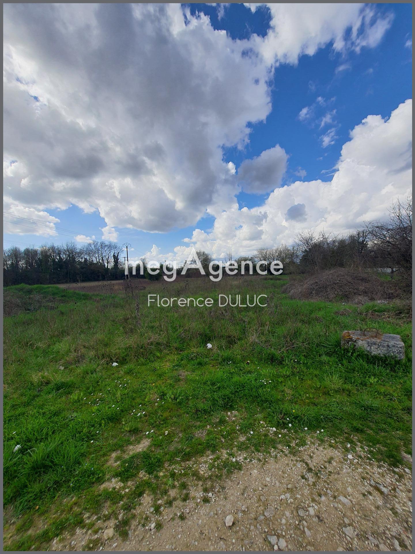 Miniature photo - 2 / 4