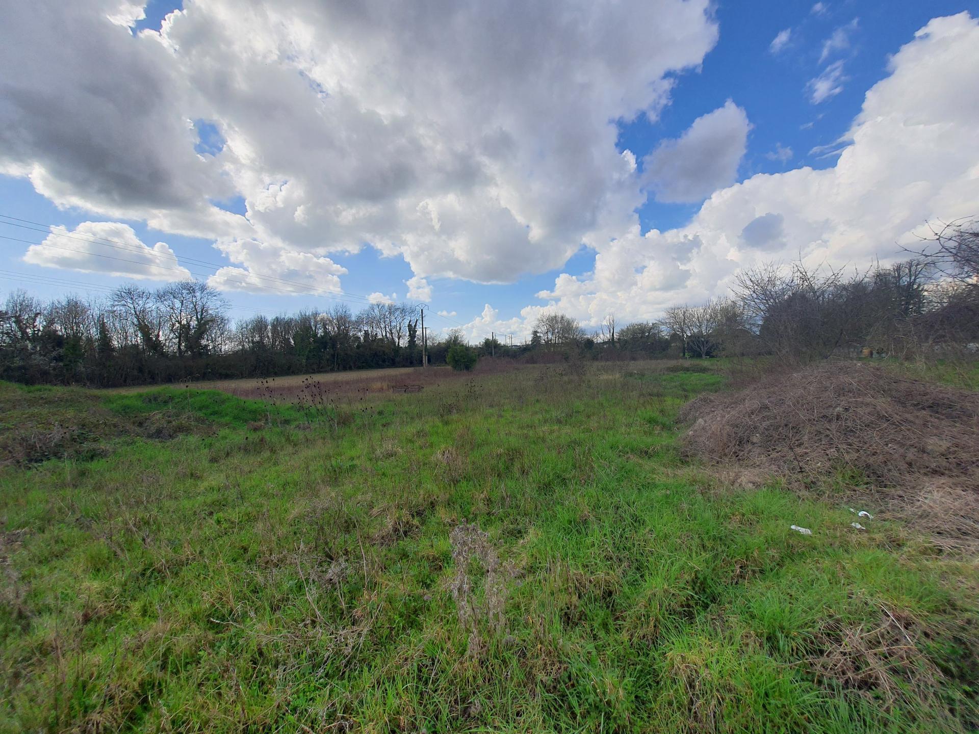 Miniature photo - 4 / 4