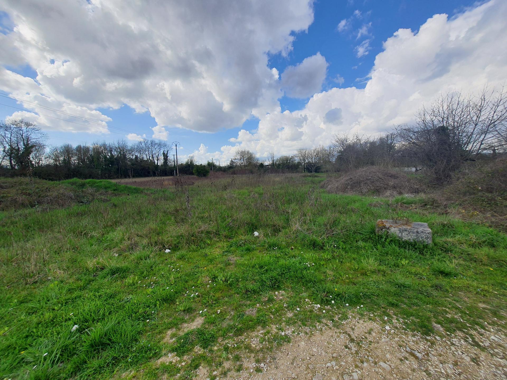 Miniature photo - 3 / 4