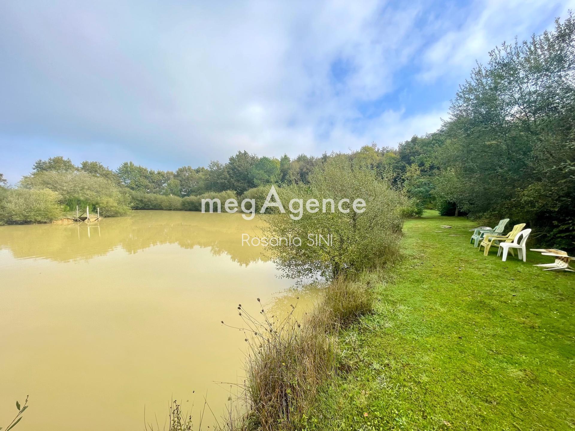 Miniature photo - 14 / 17