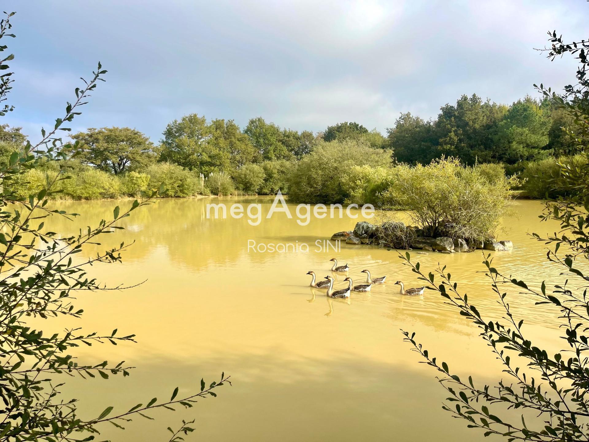 Miniature photo - 15 / 17