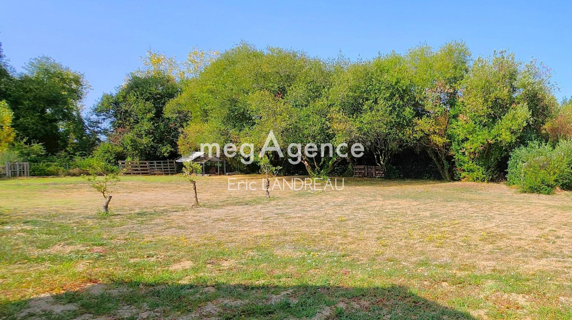 Miniature photo - 3 / 4