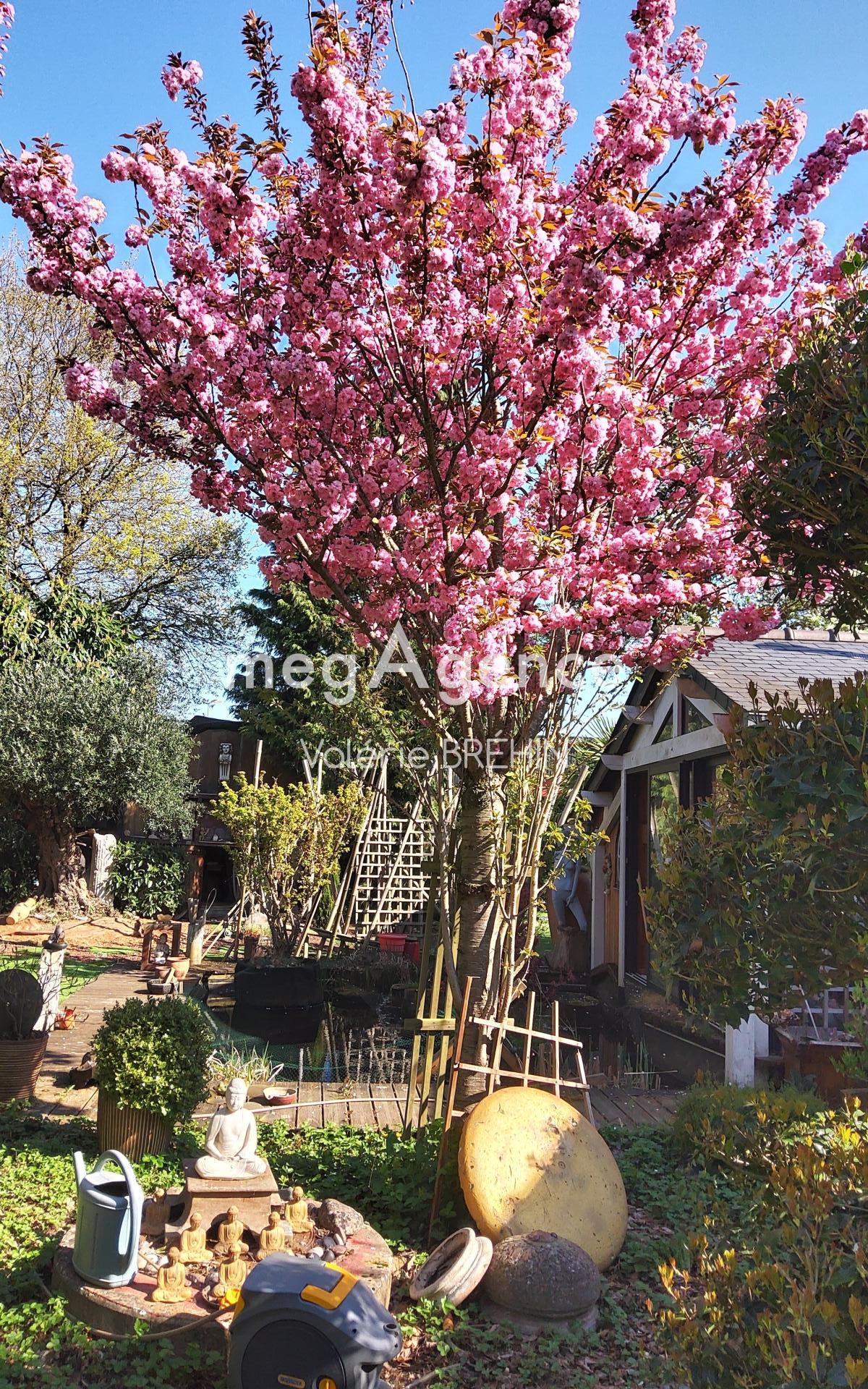 Miniature photo - 3 / 9