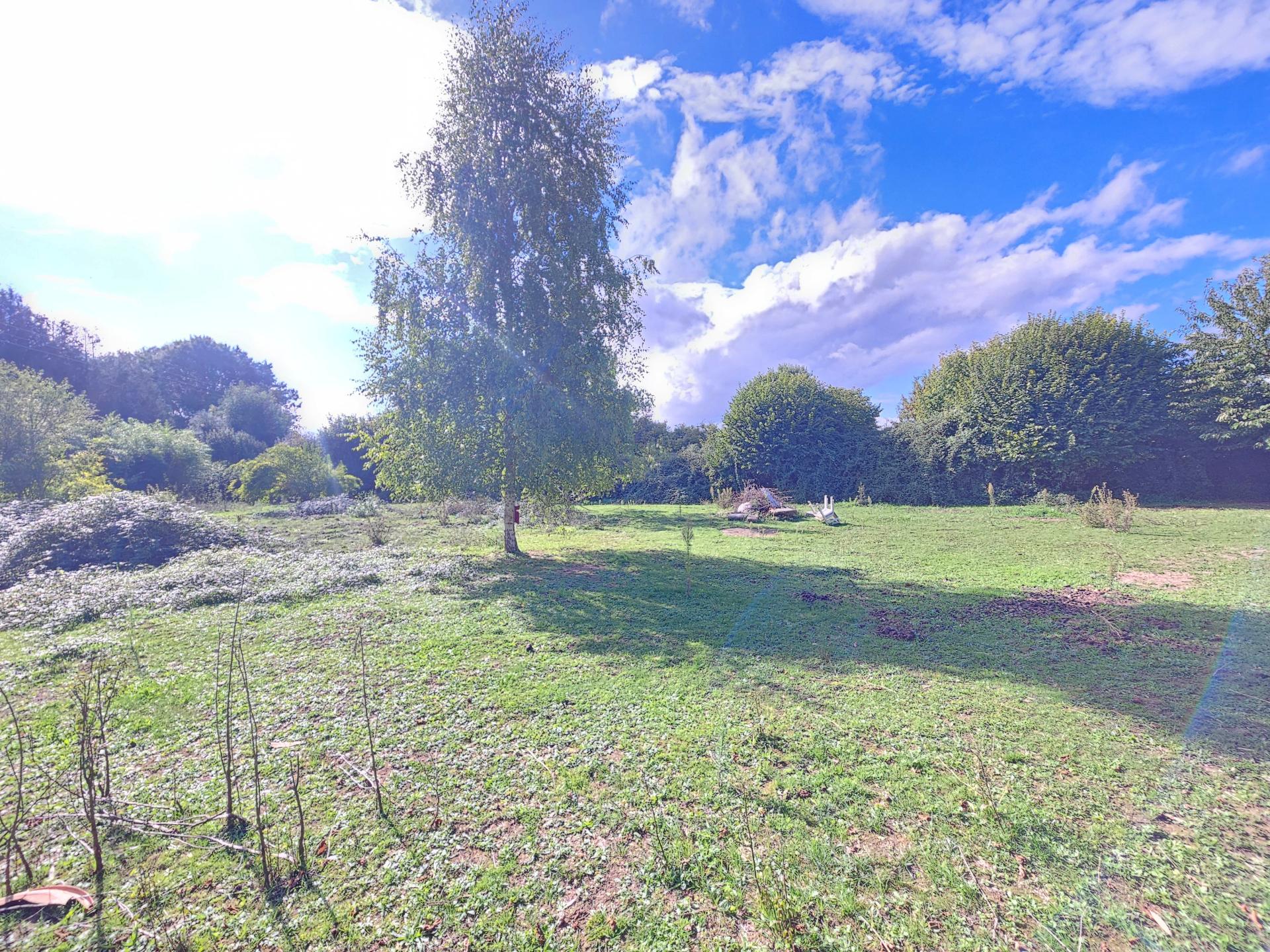 Miniature photo - 10 / 11