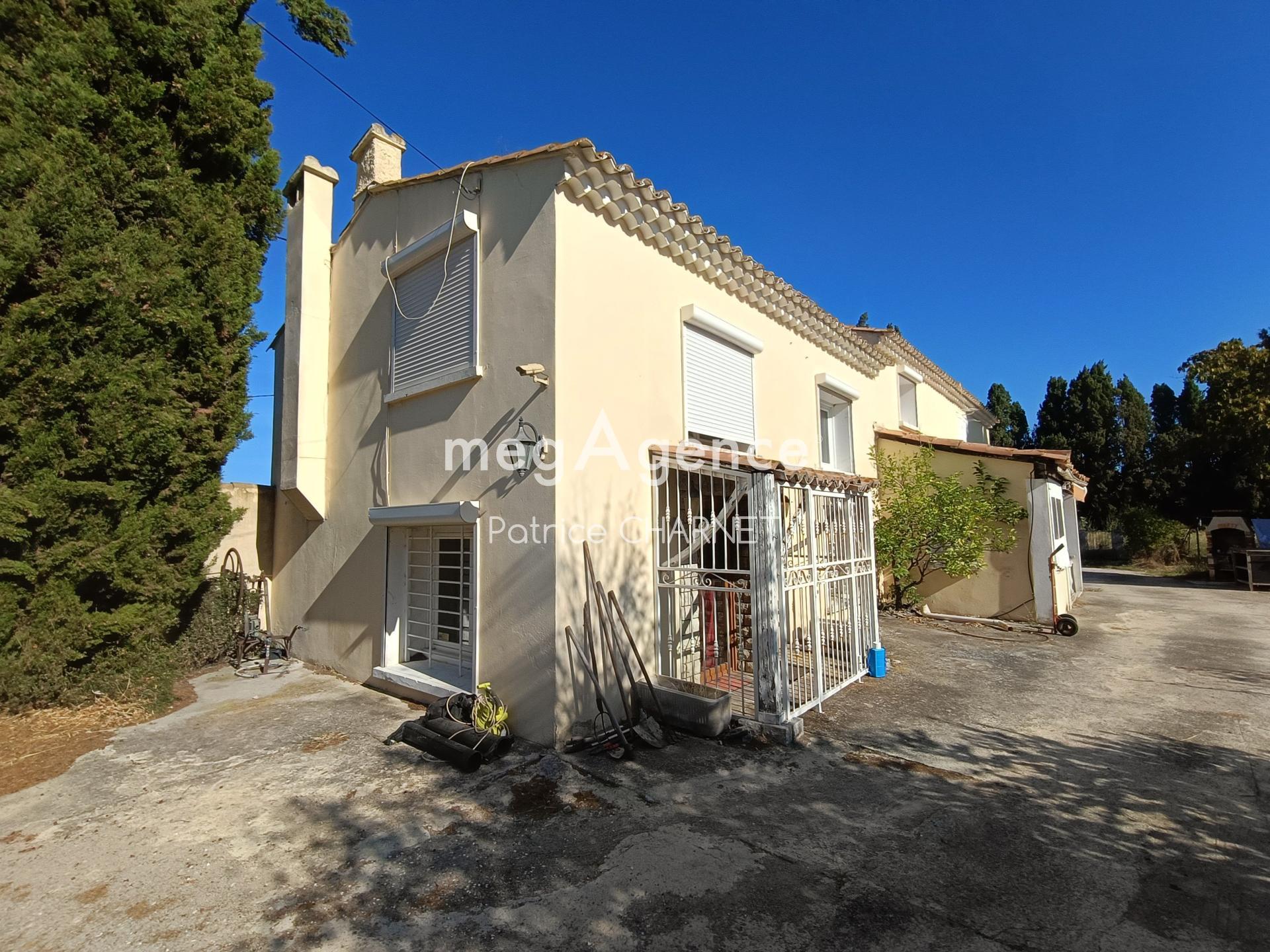 Miniature photo - 2 / 4