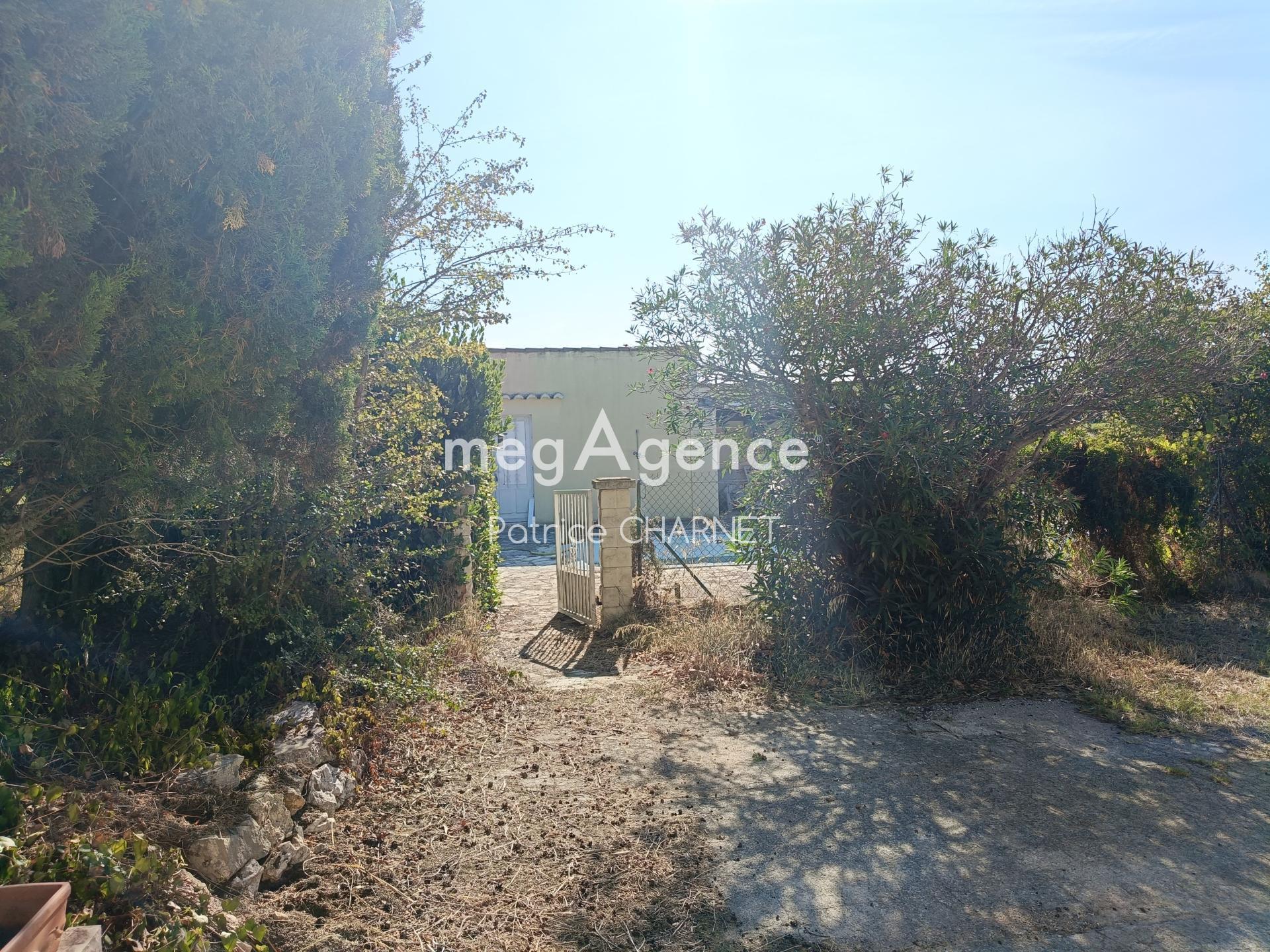 Miniature photo - 4 / 4